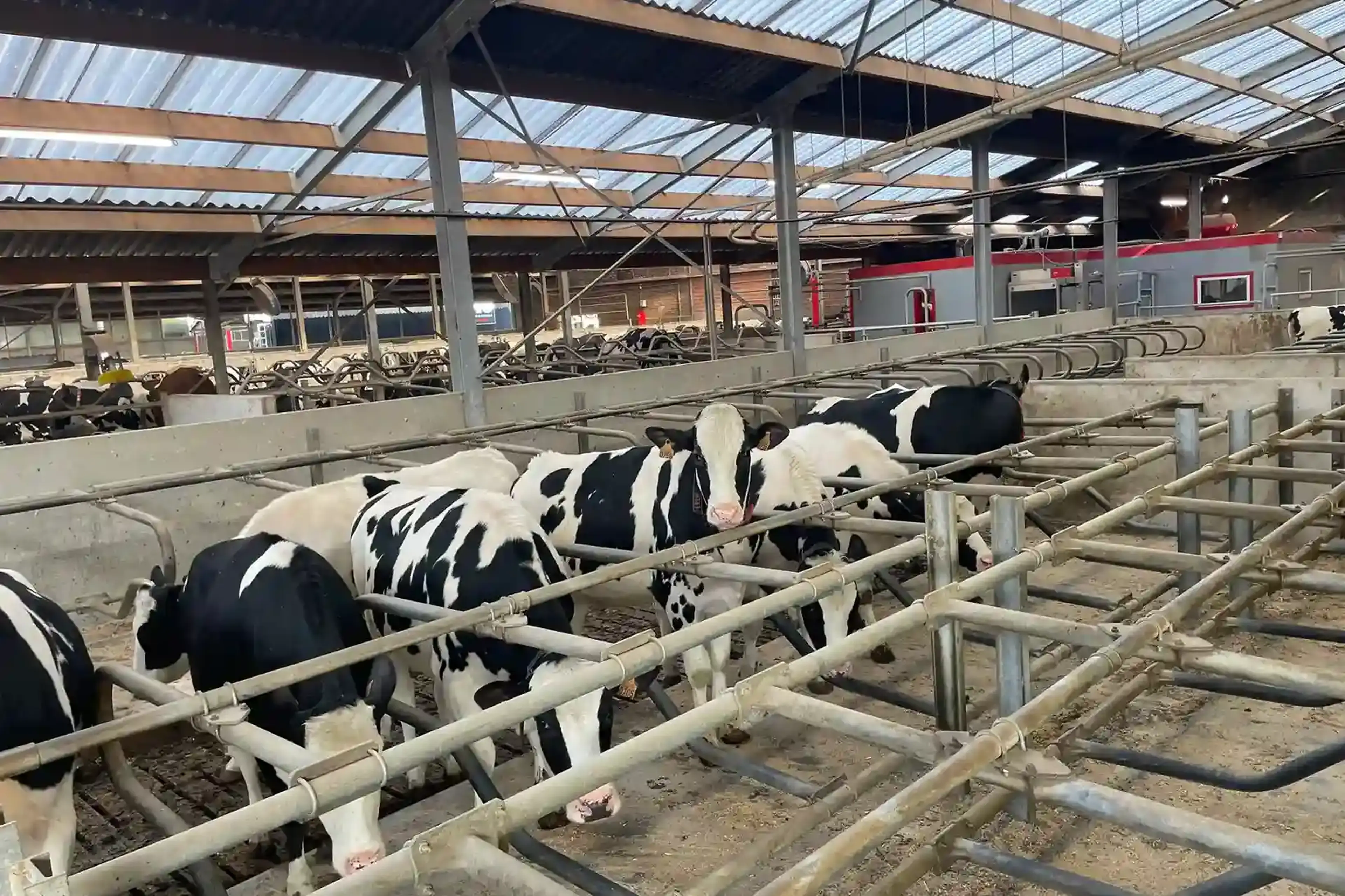 Vansant waterskid waterzuiveringssysteem waterfilter bij koeien