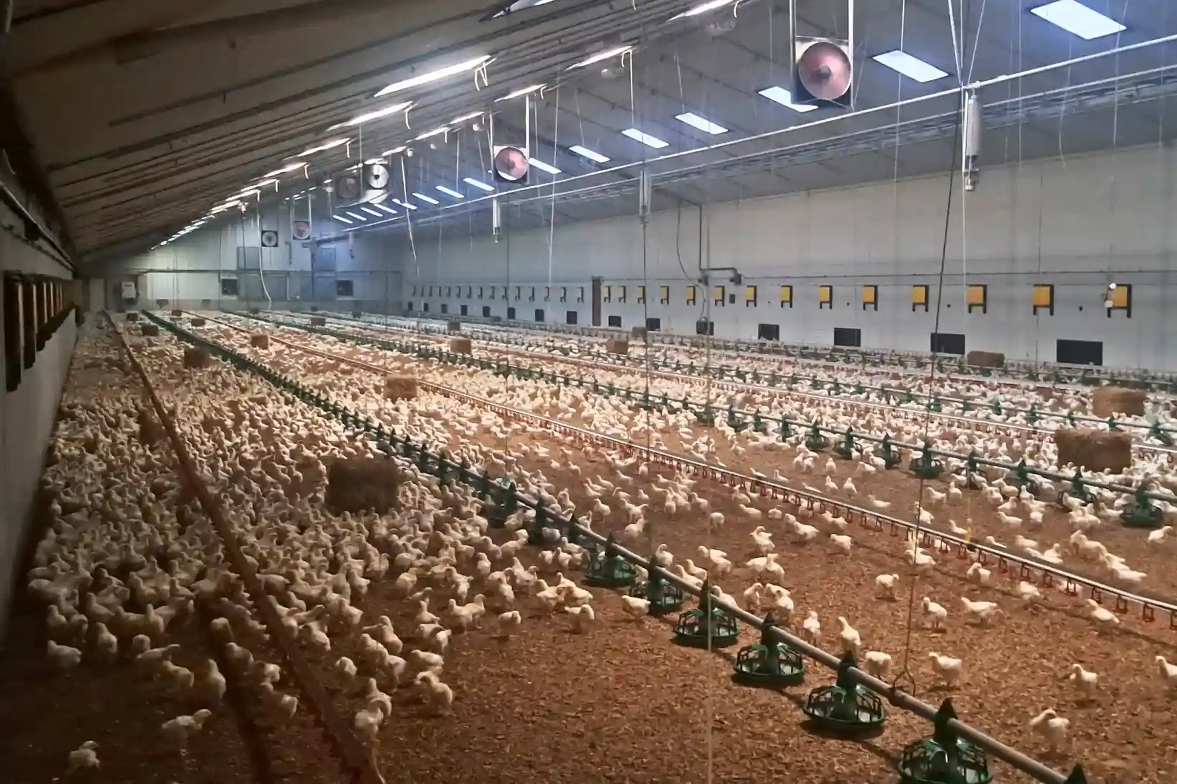 Fam Quirijnen Testimonial WaterSkid