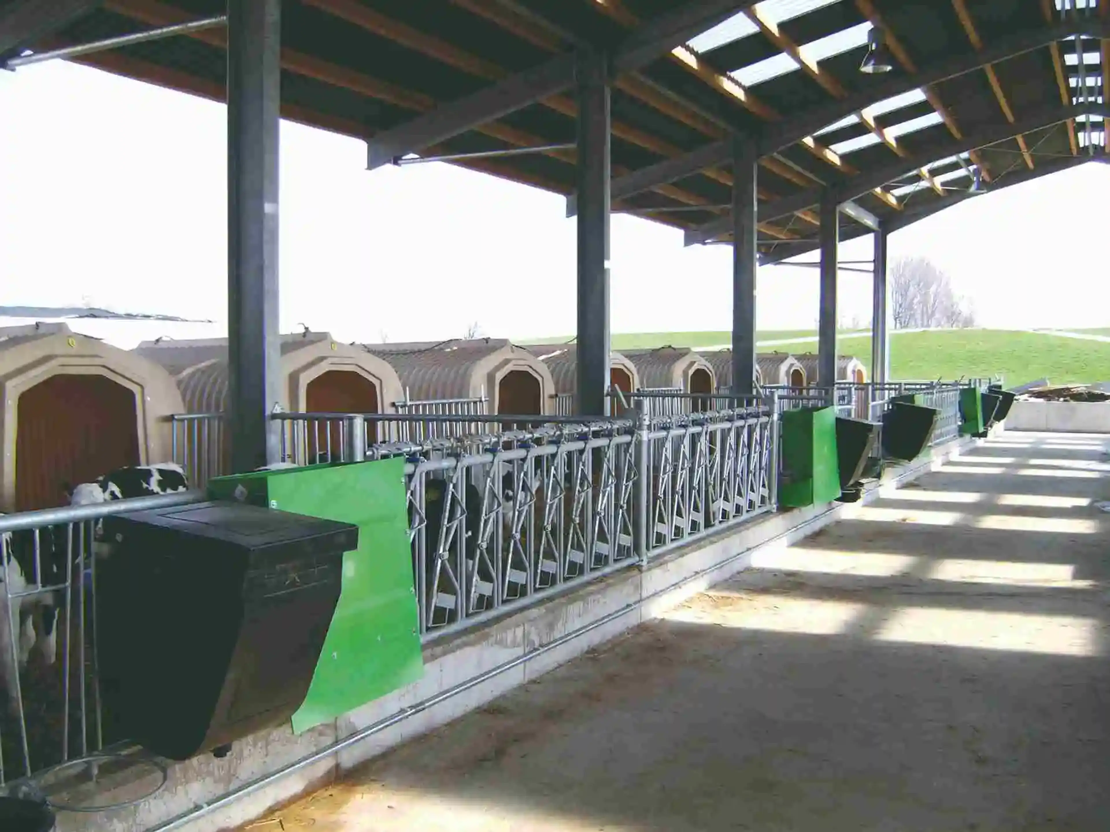 Alojamiento colectivo