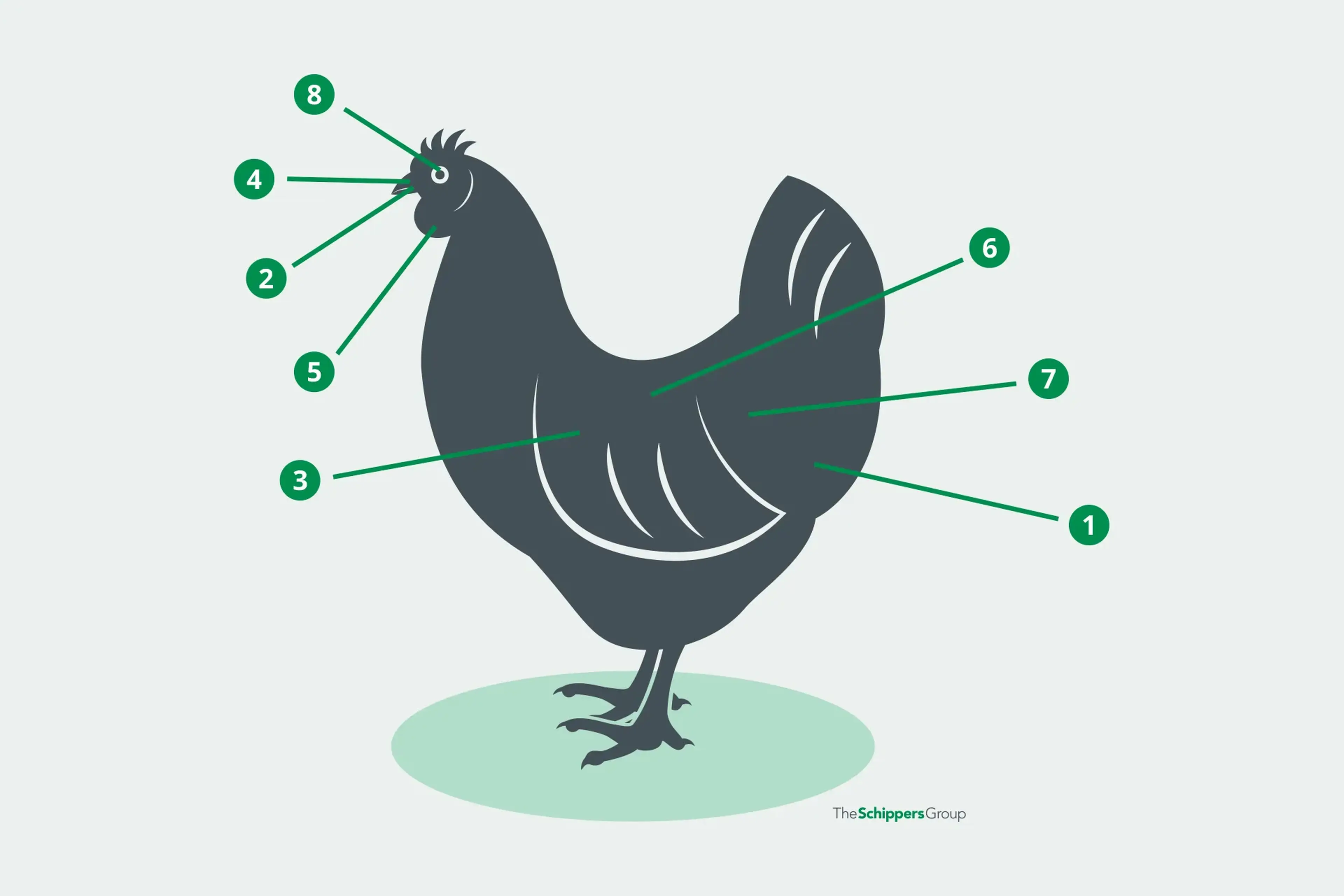 Poultry_Coccidiosis_Numbers-diseases