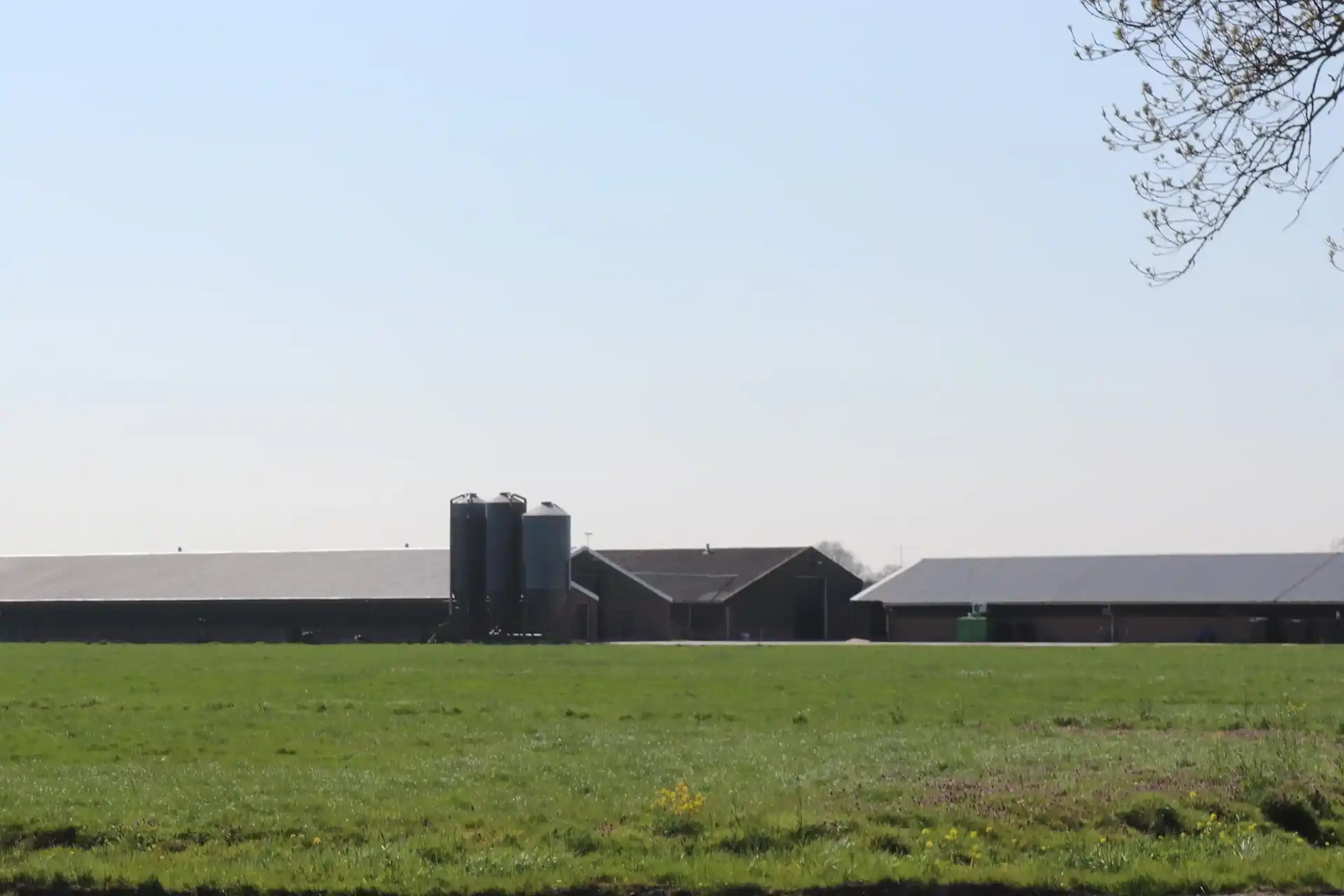 Testimonial Tornades