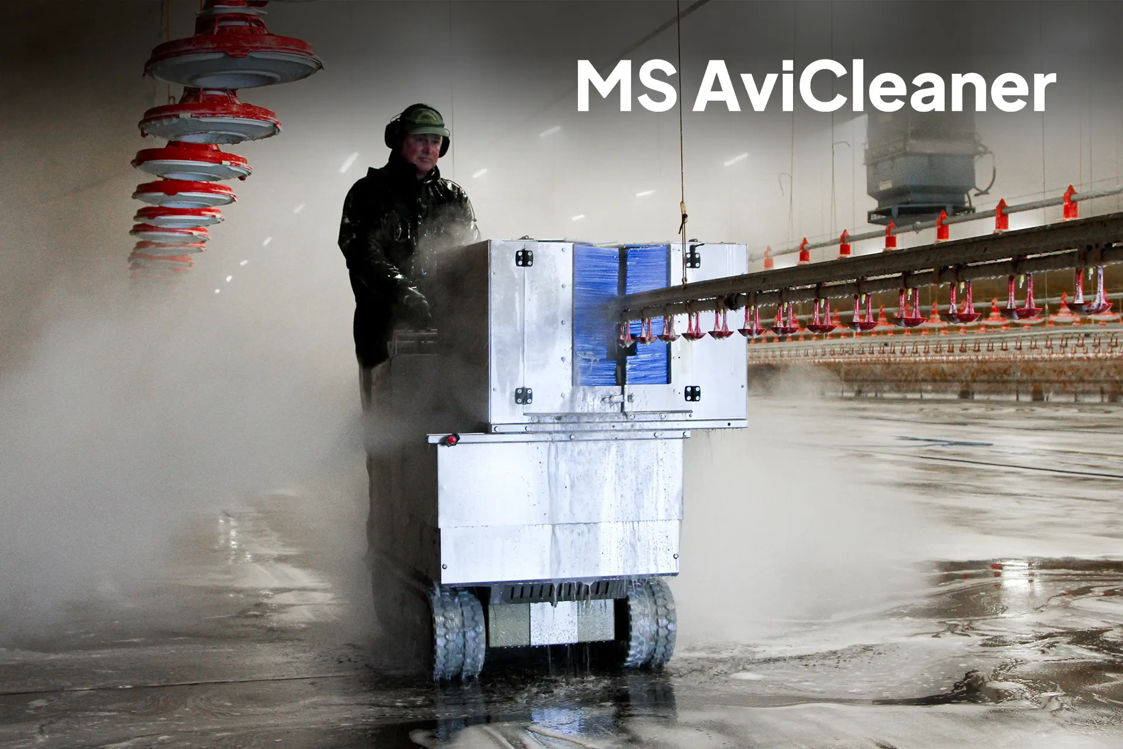 MS AviCleaner