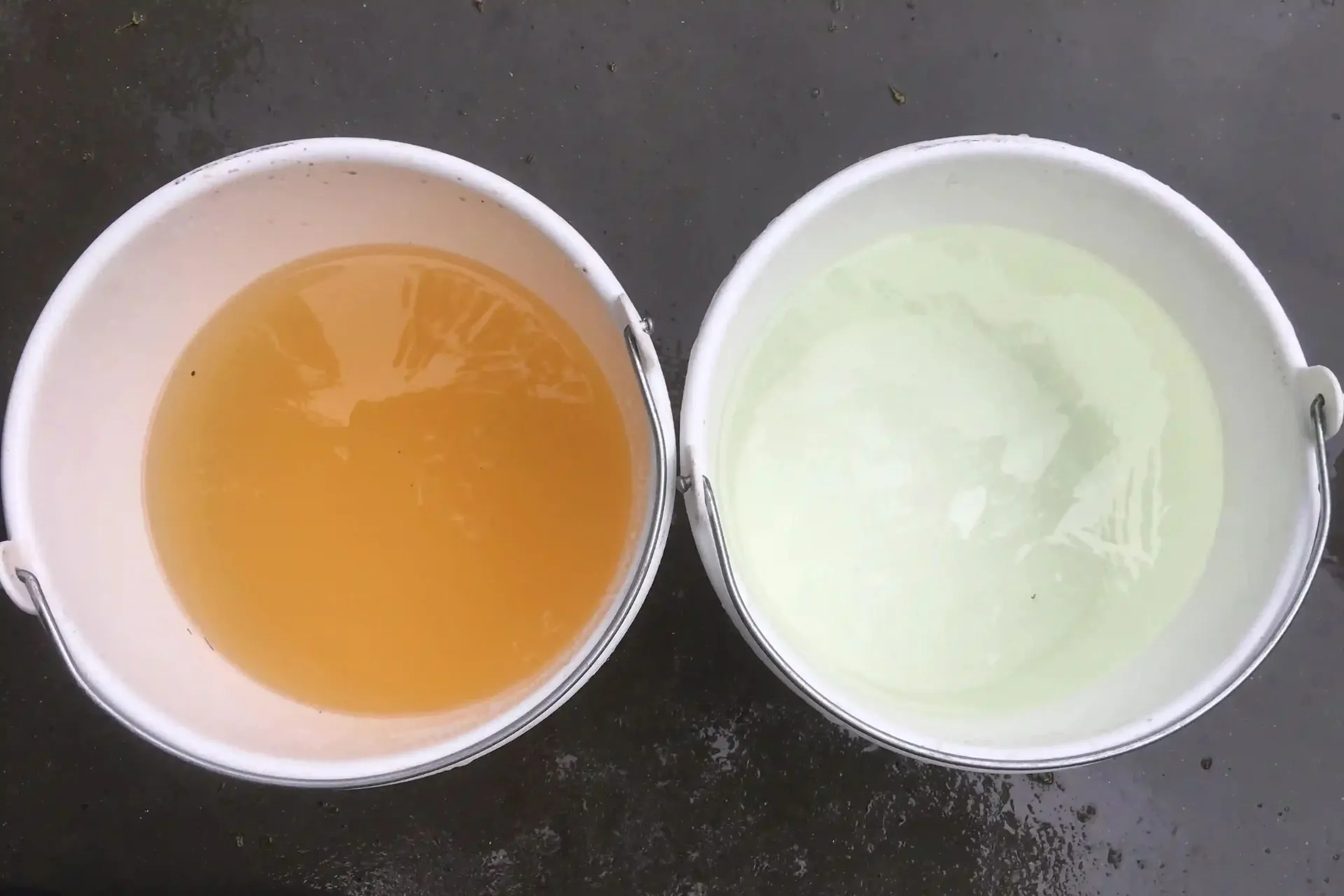 White bucket test water quality