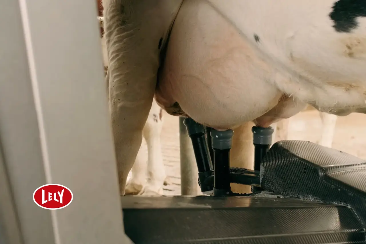 Lely aktivpuls