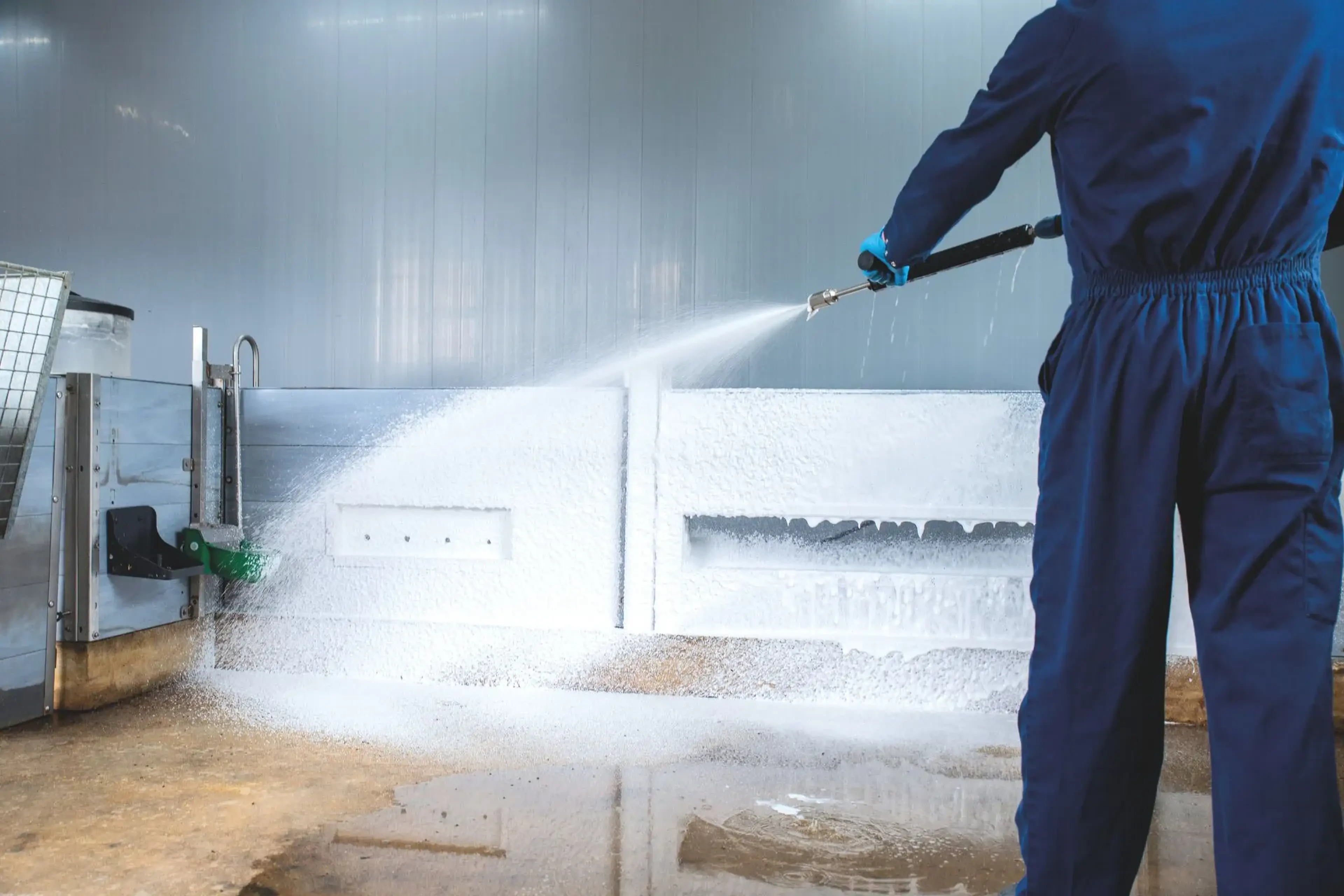 cleaning-goat-stable