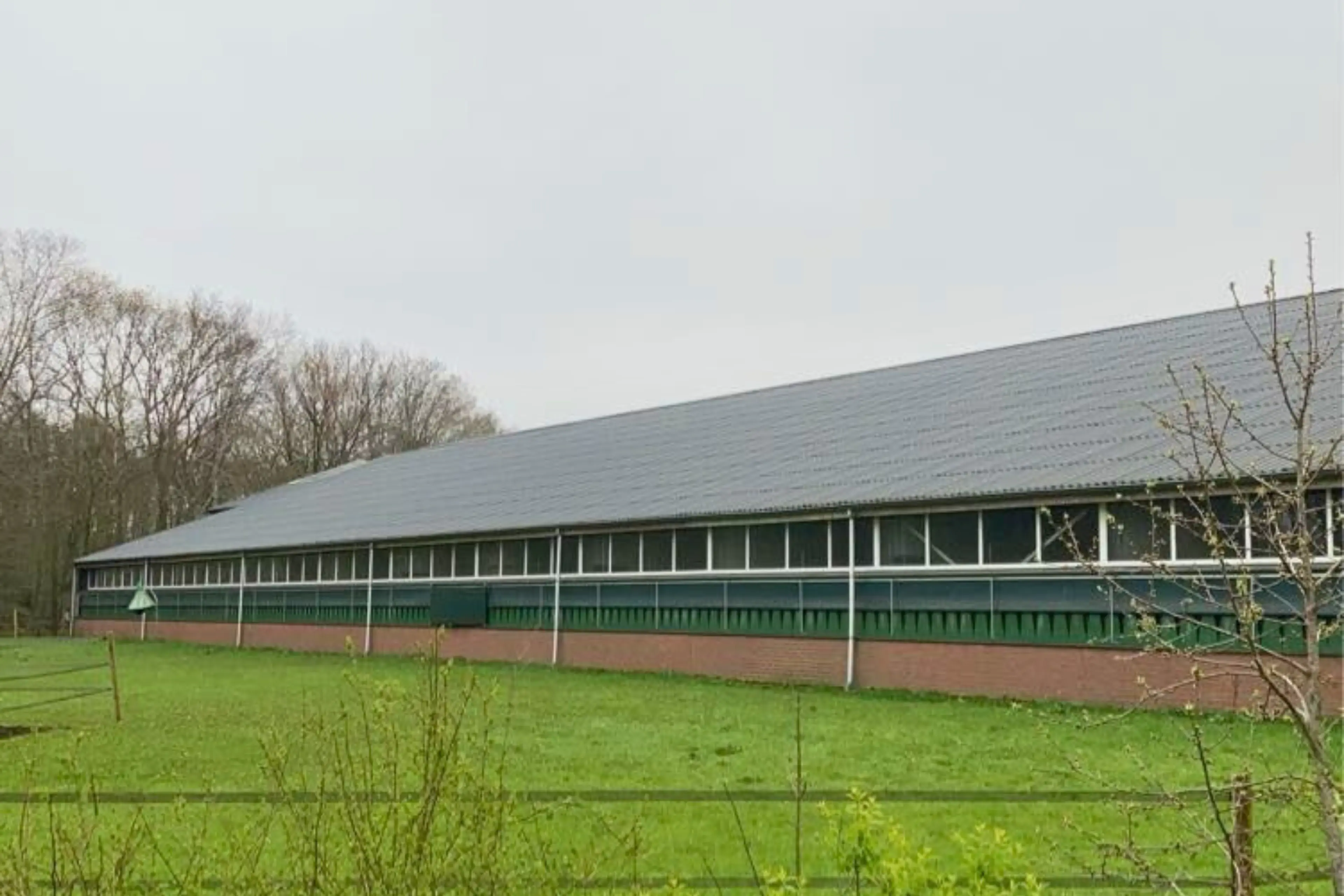 Heimolen Waterskid waterzuiveringssysteem varkens