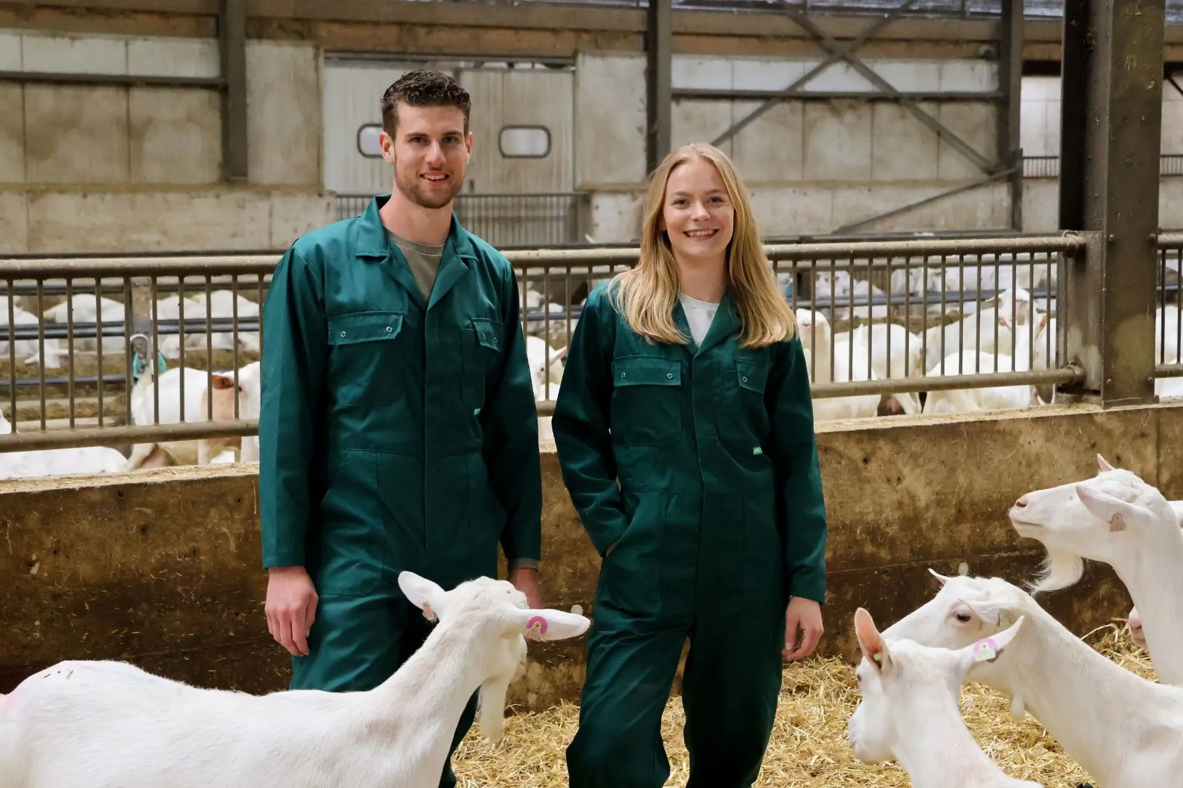 goat-experts-isis-gijs