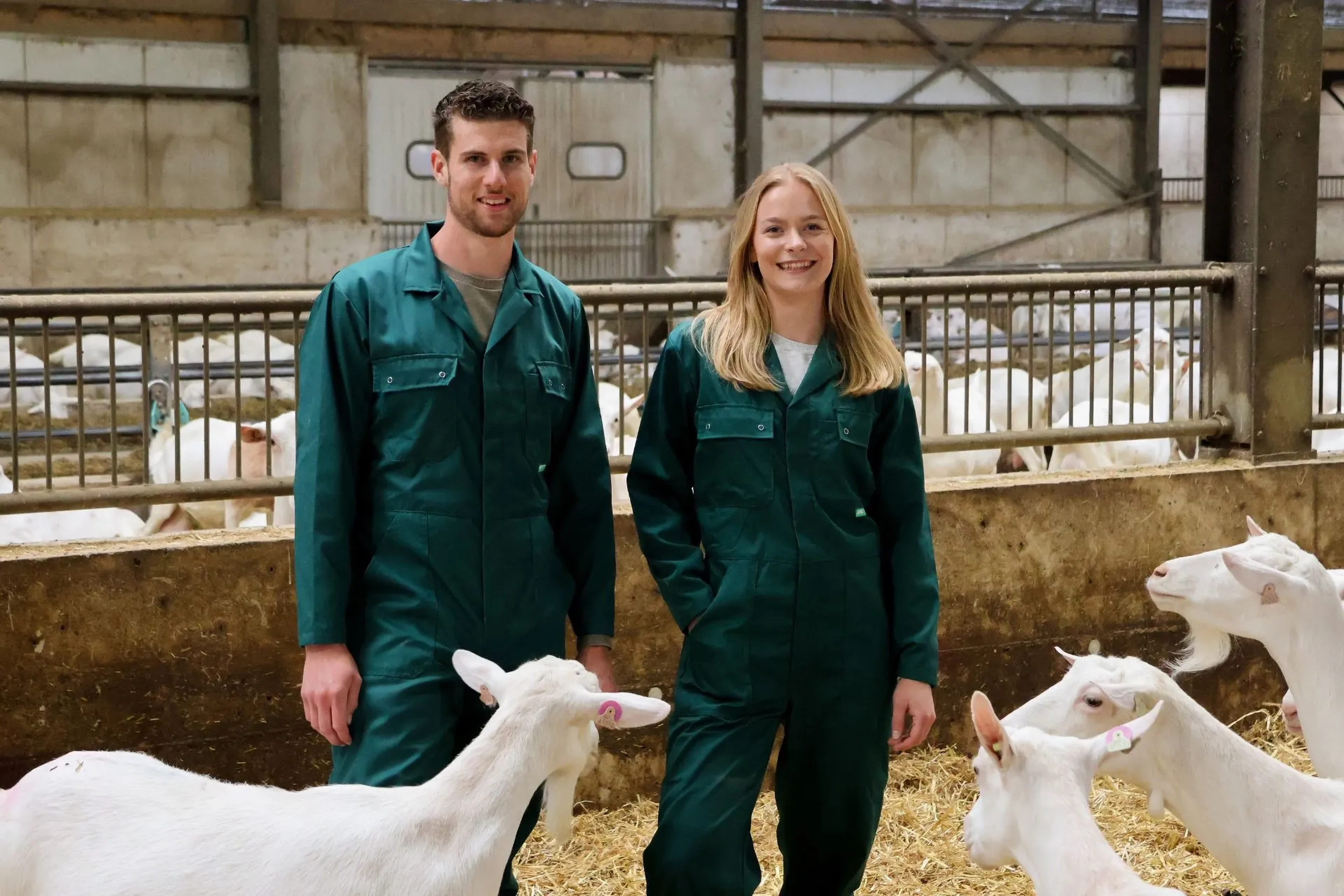 goat-experts-isis-gijs