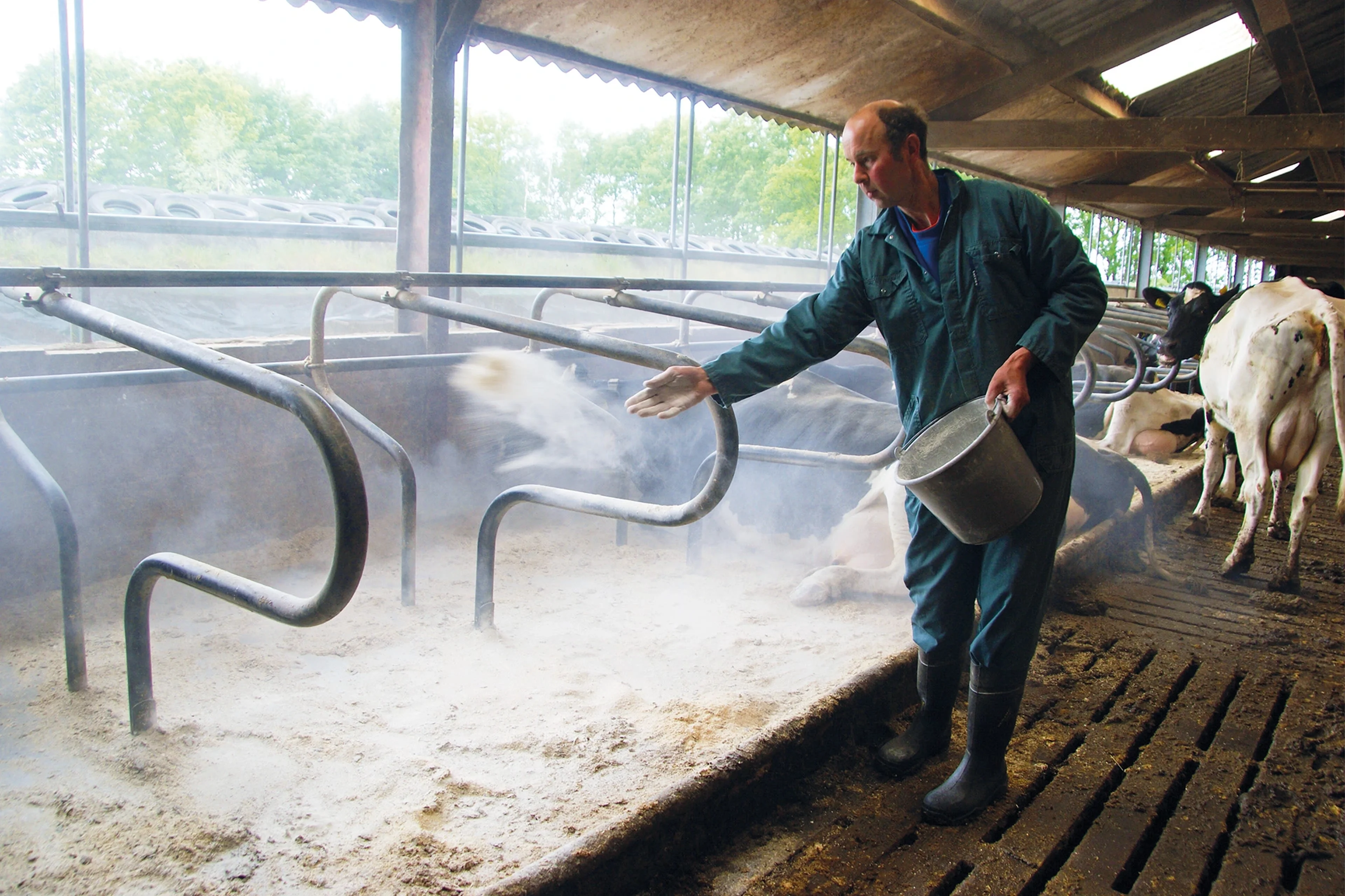 Droge leefomgeving