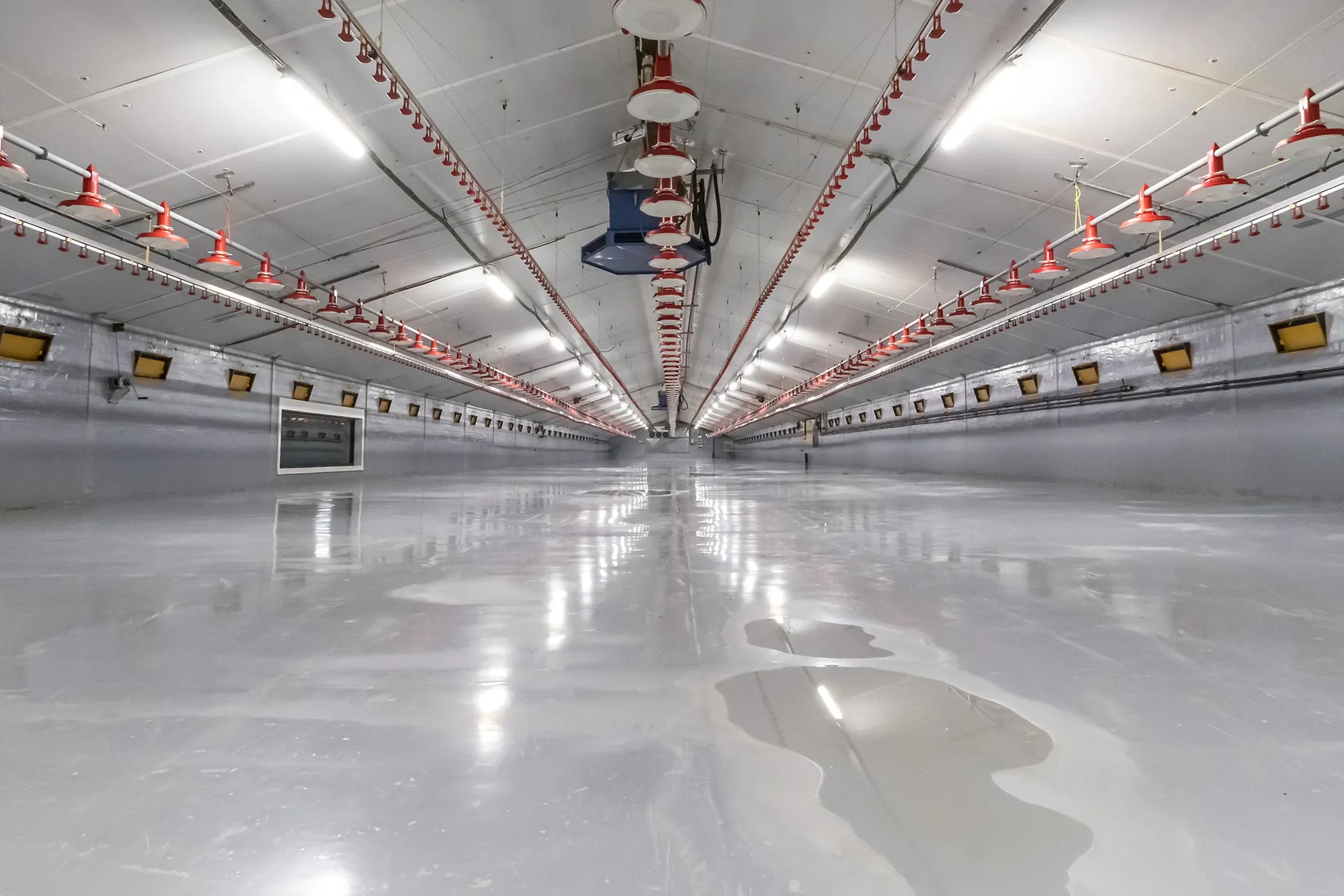 Poultry farm with coating