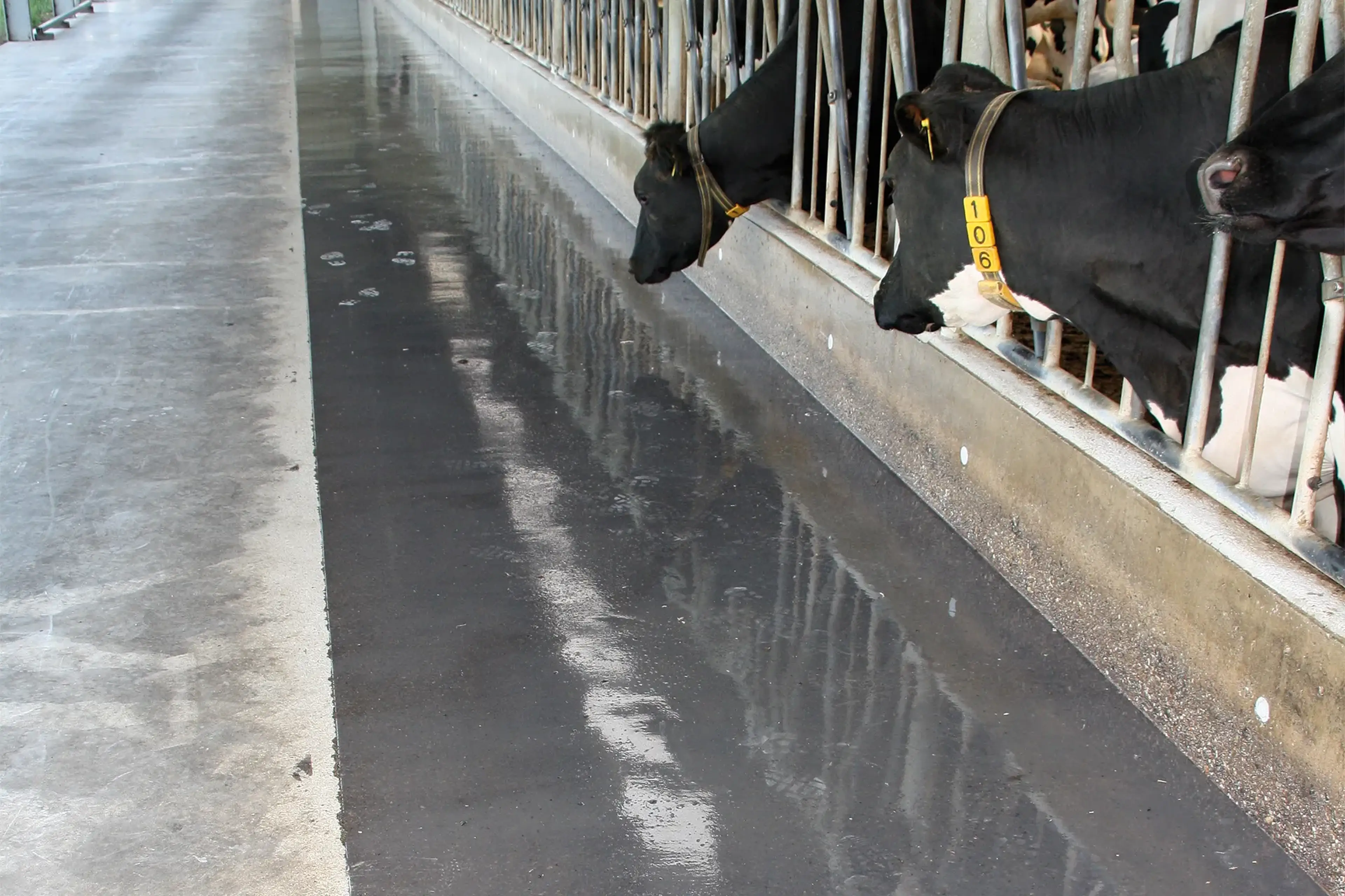 Feed alley coating