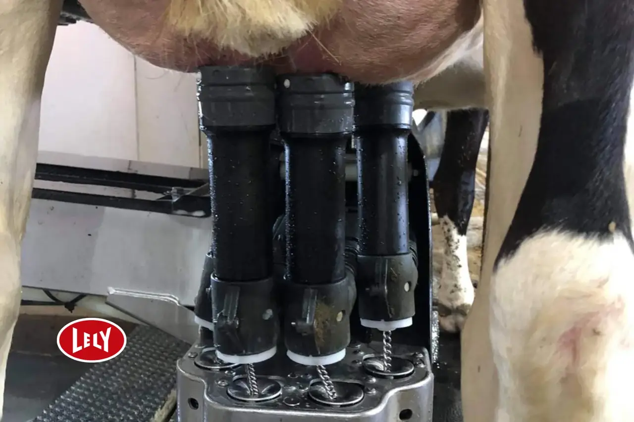 Lely aktivpuls