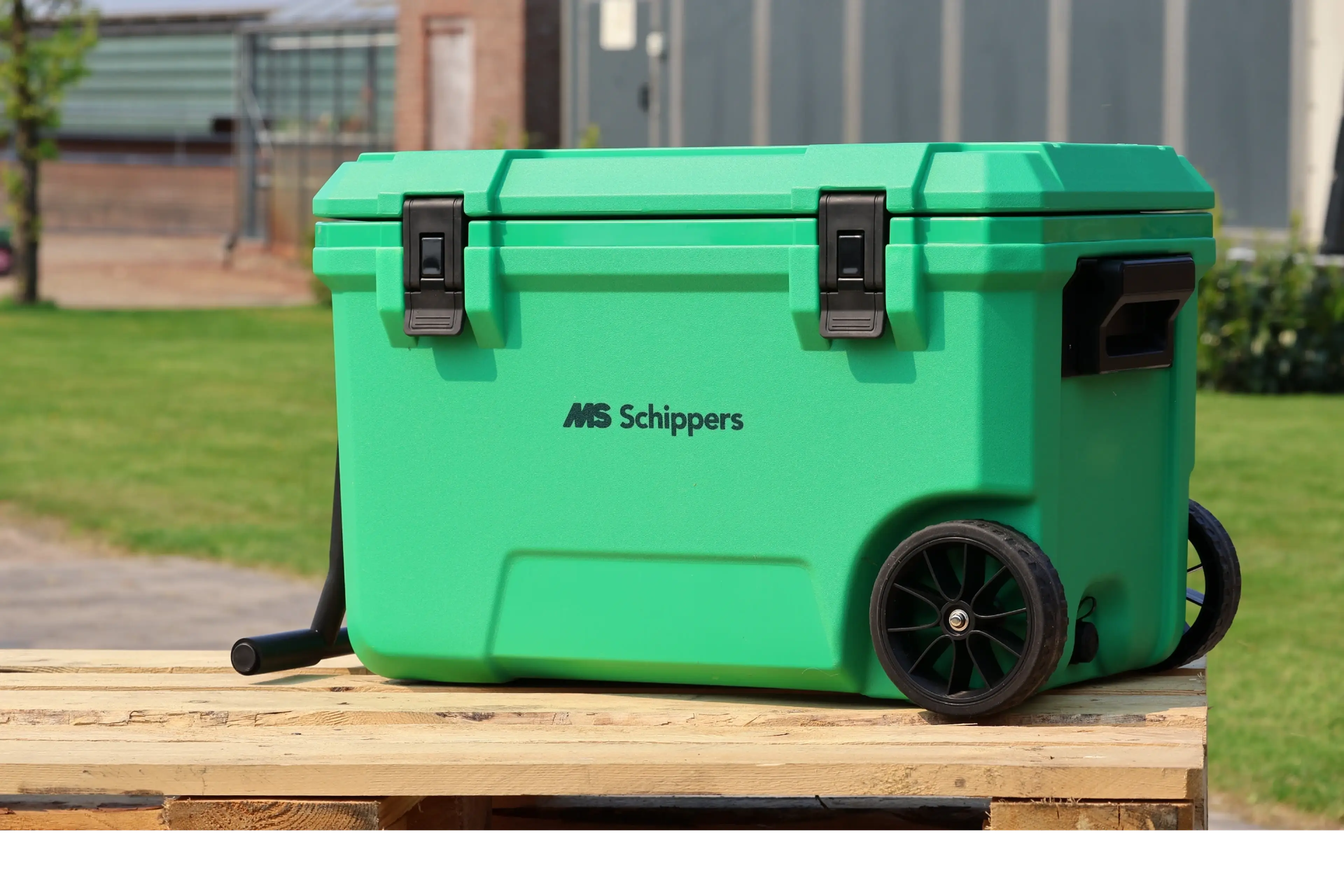 MSKOELBOX