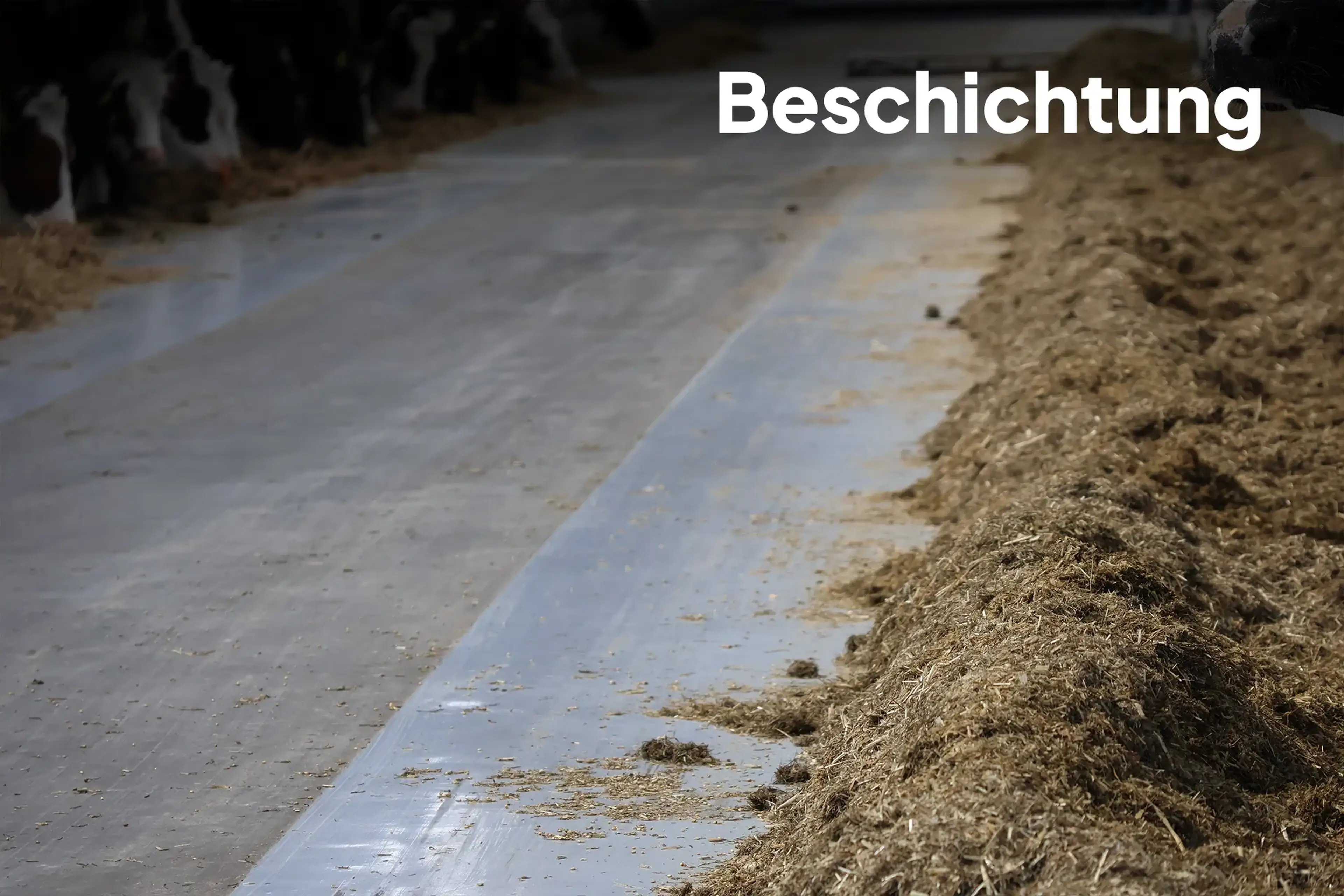 Beschichtung