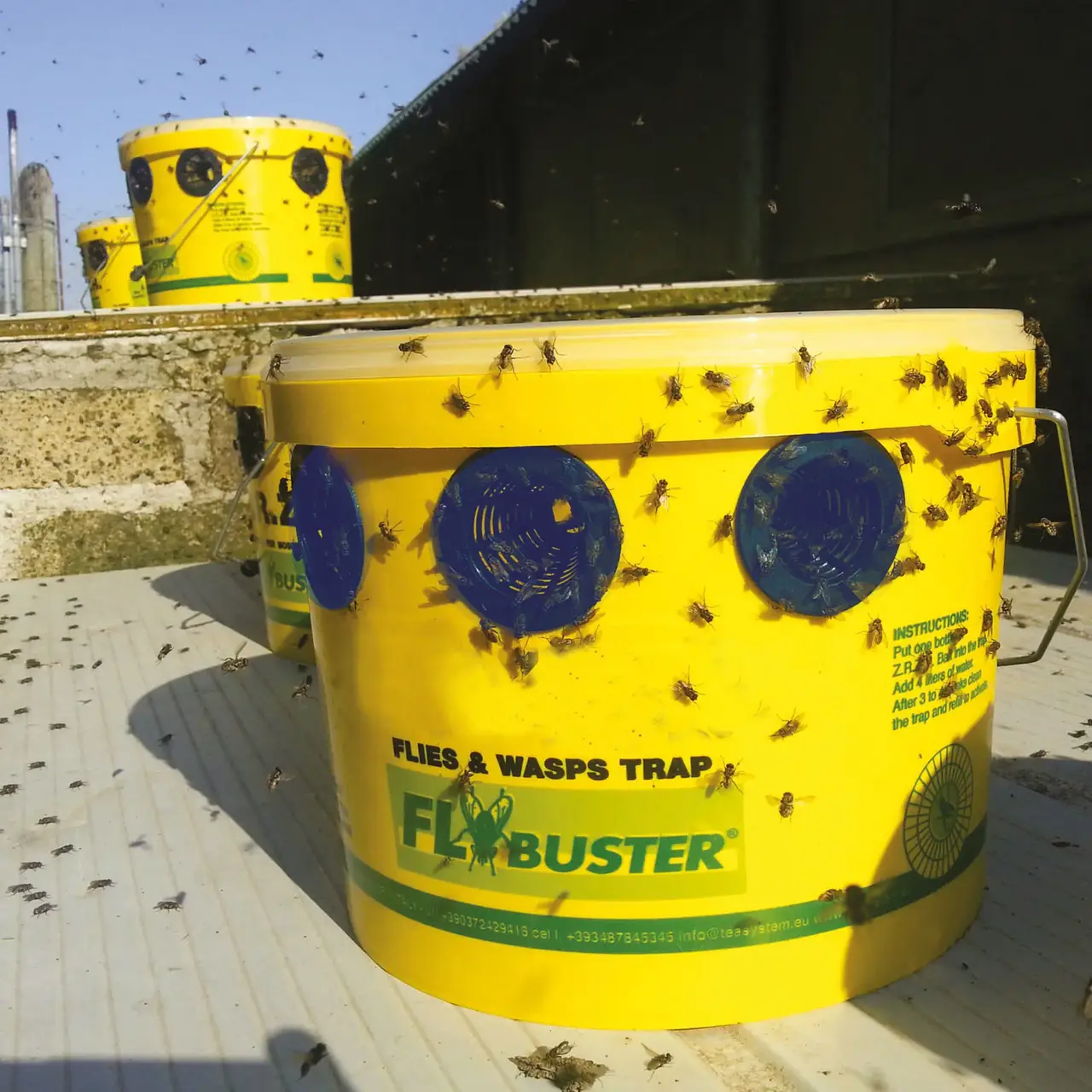 Flybuster results
