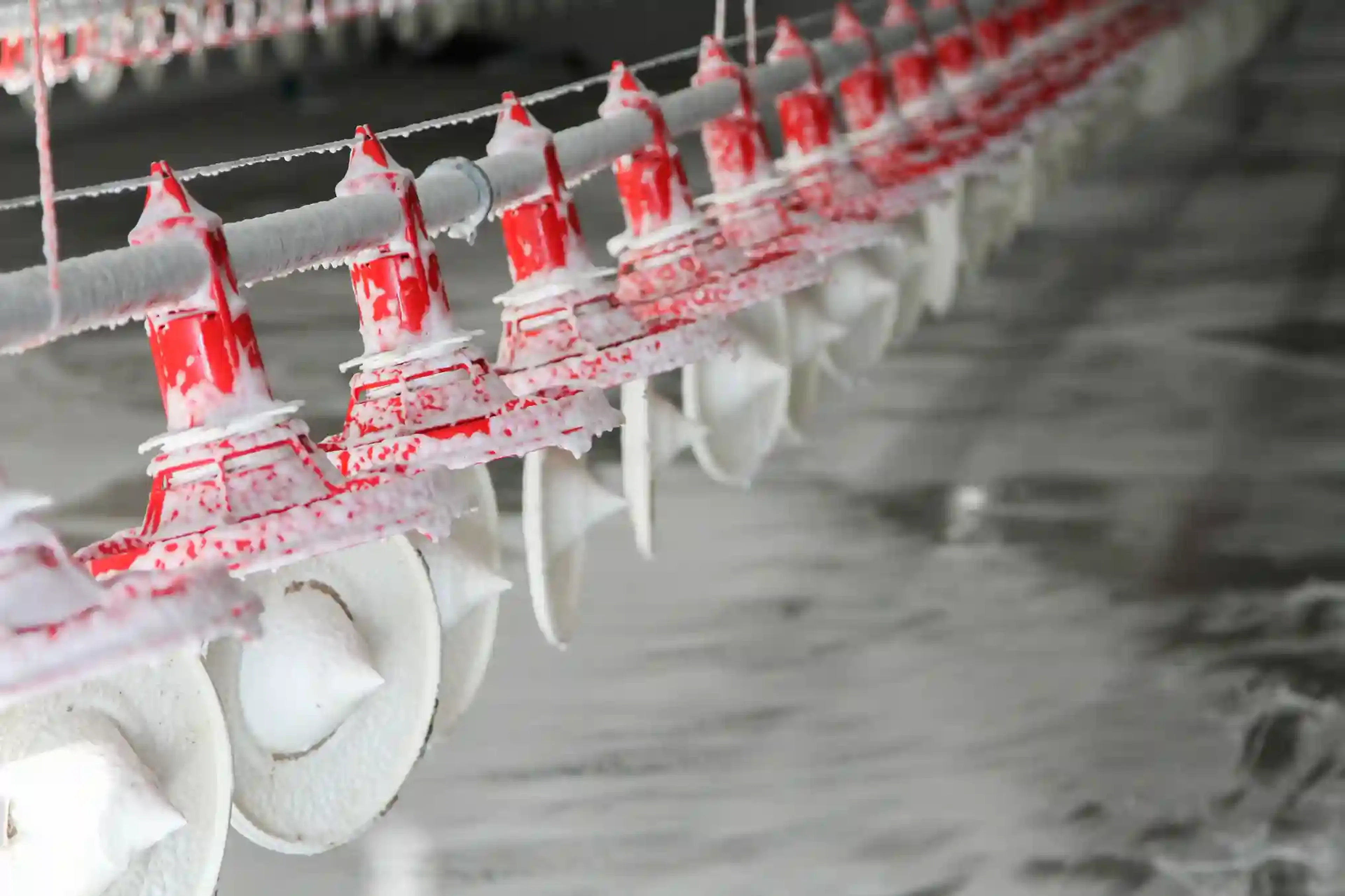 Avicleaner cleaning disinfecting poultry farm