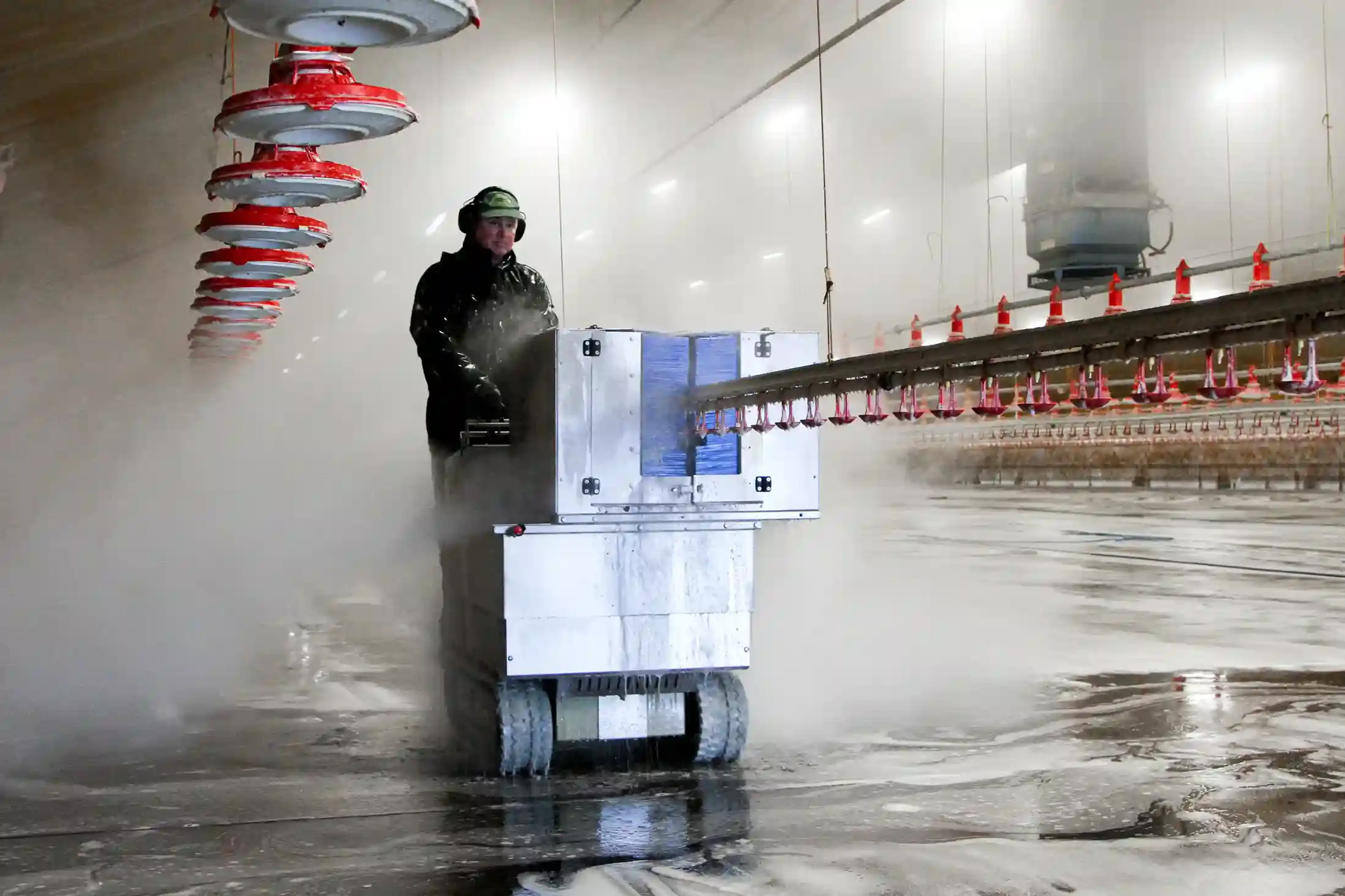 AviCleaner
