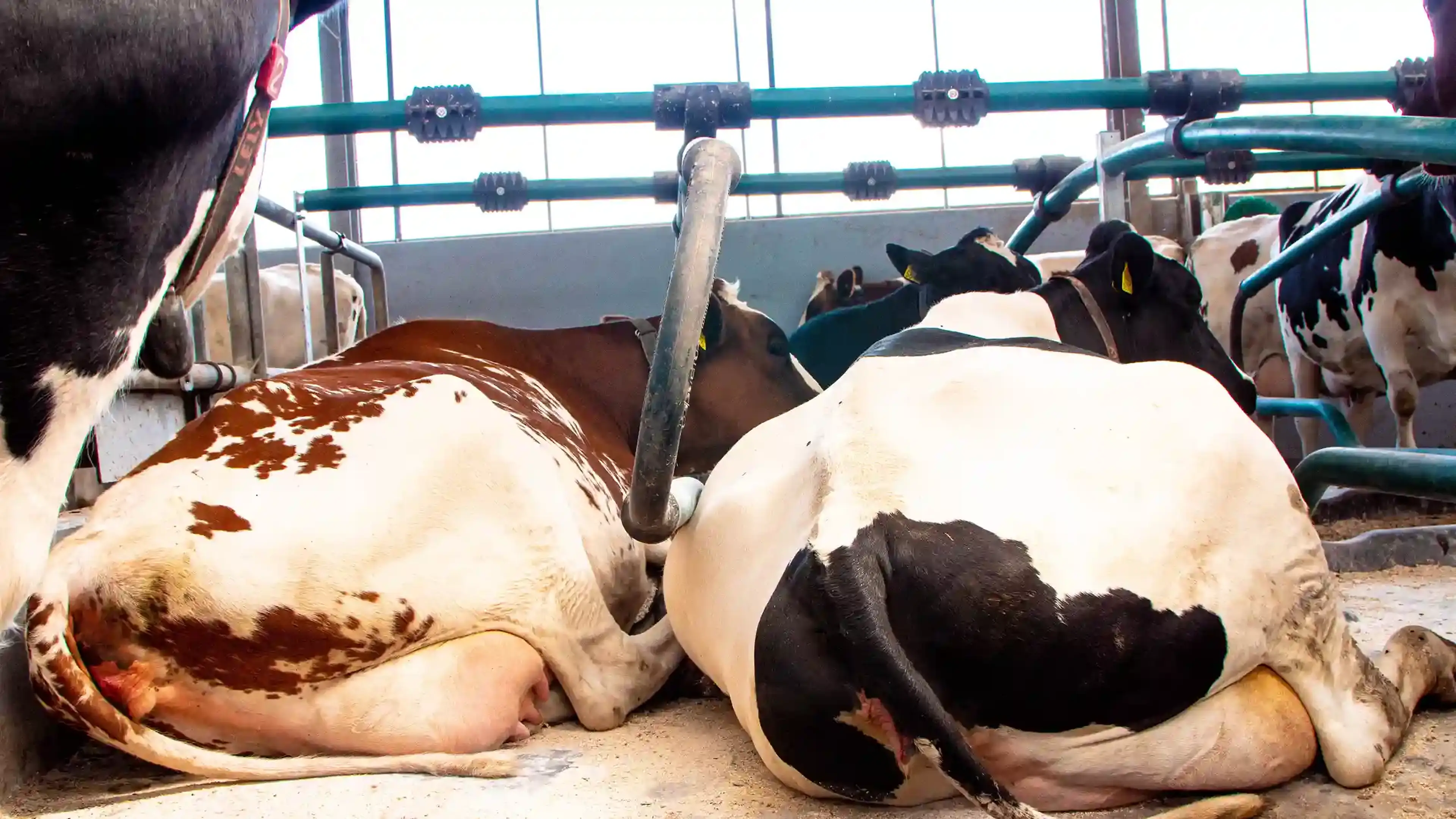 Inmeten en advies op locatie