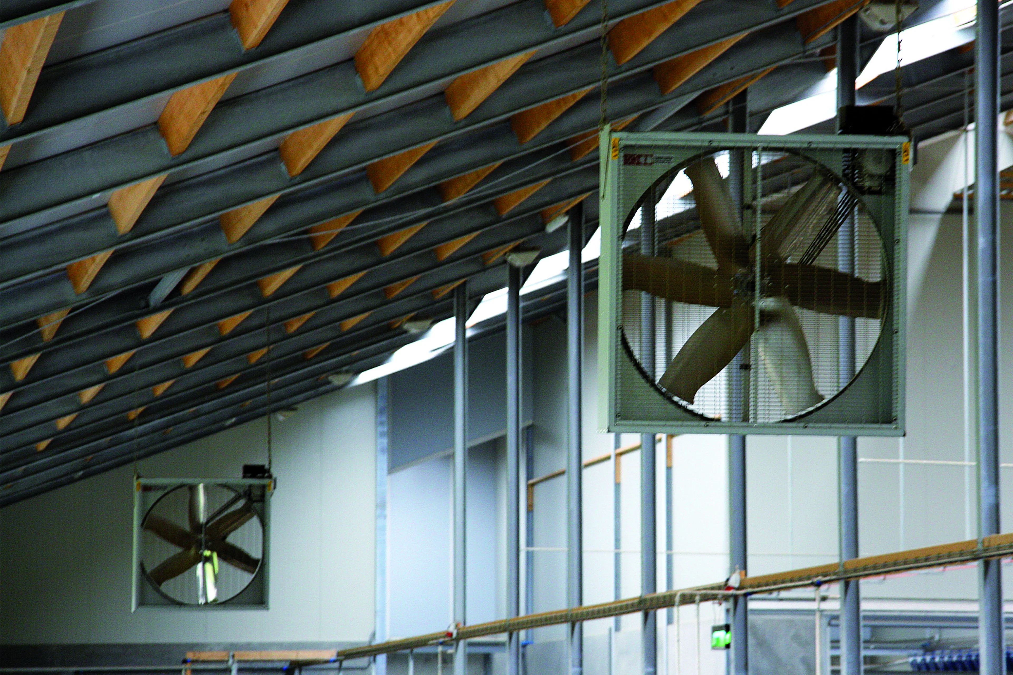 Ensure good barn ventilation