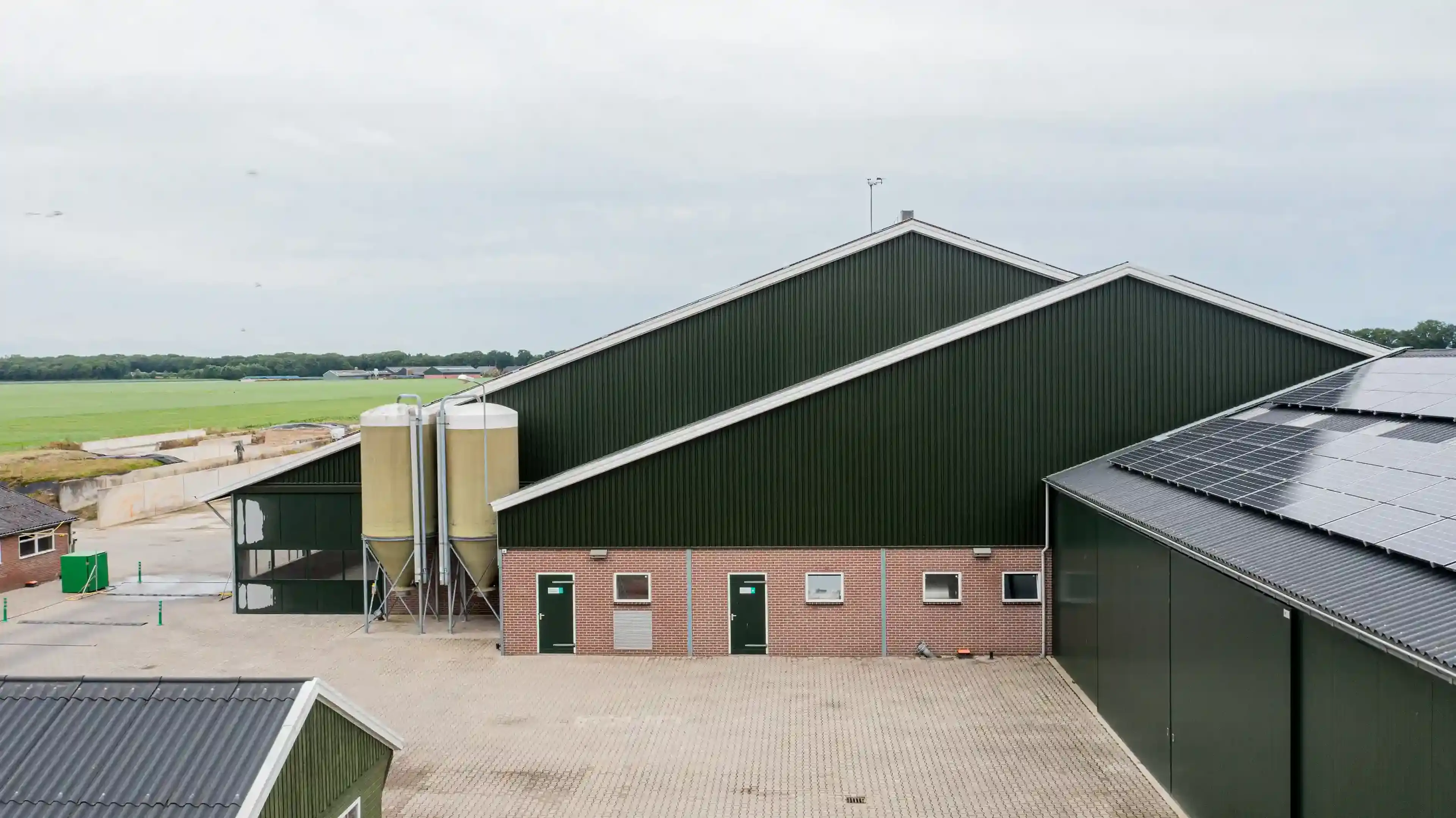 Bladelse Hoef- cattle-farm