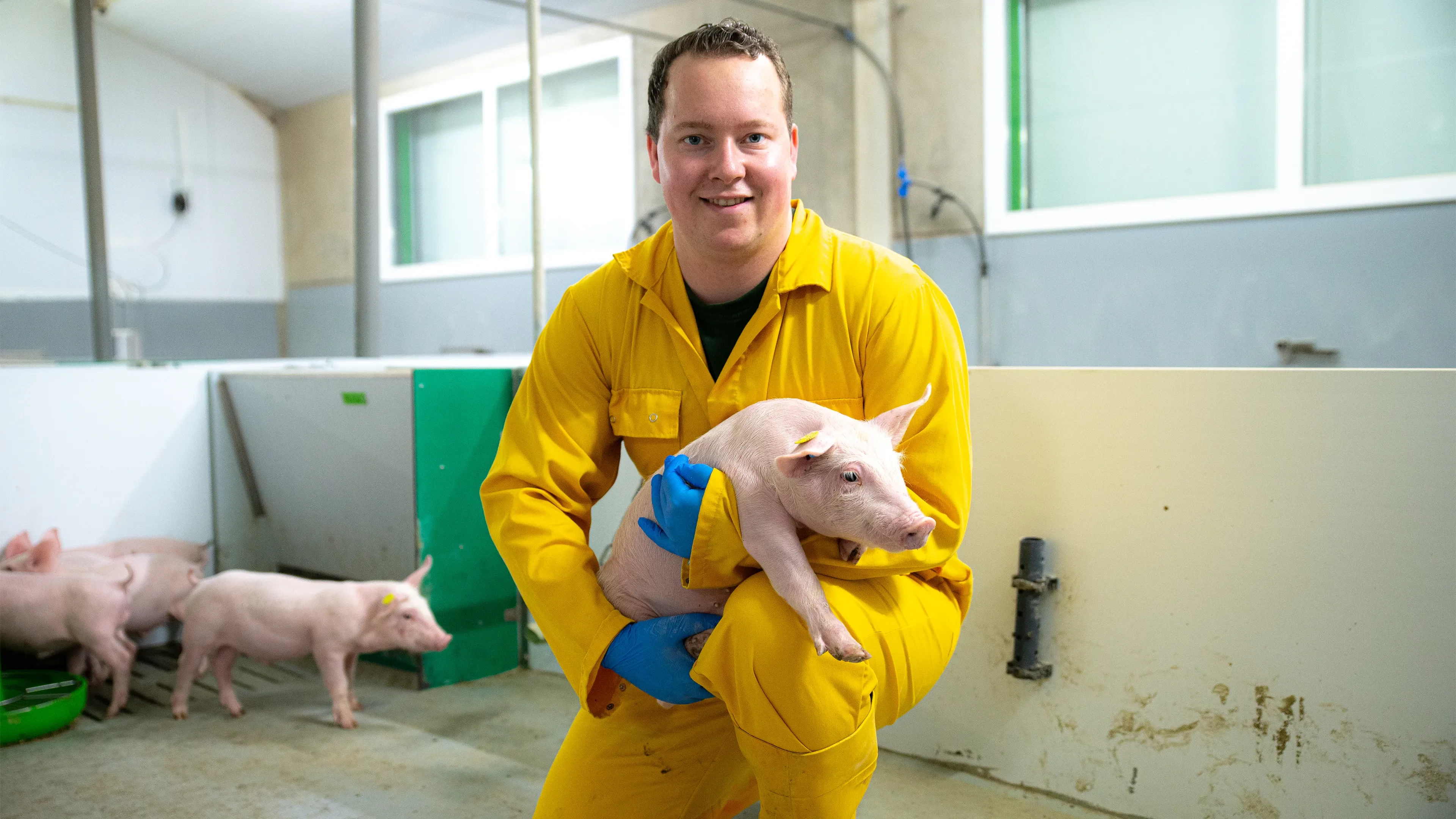 Leon sitting on one knee holding a pig inside a pen with a yellow overall on