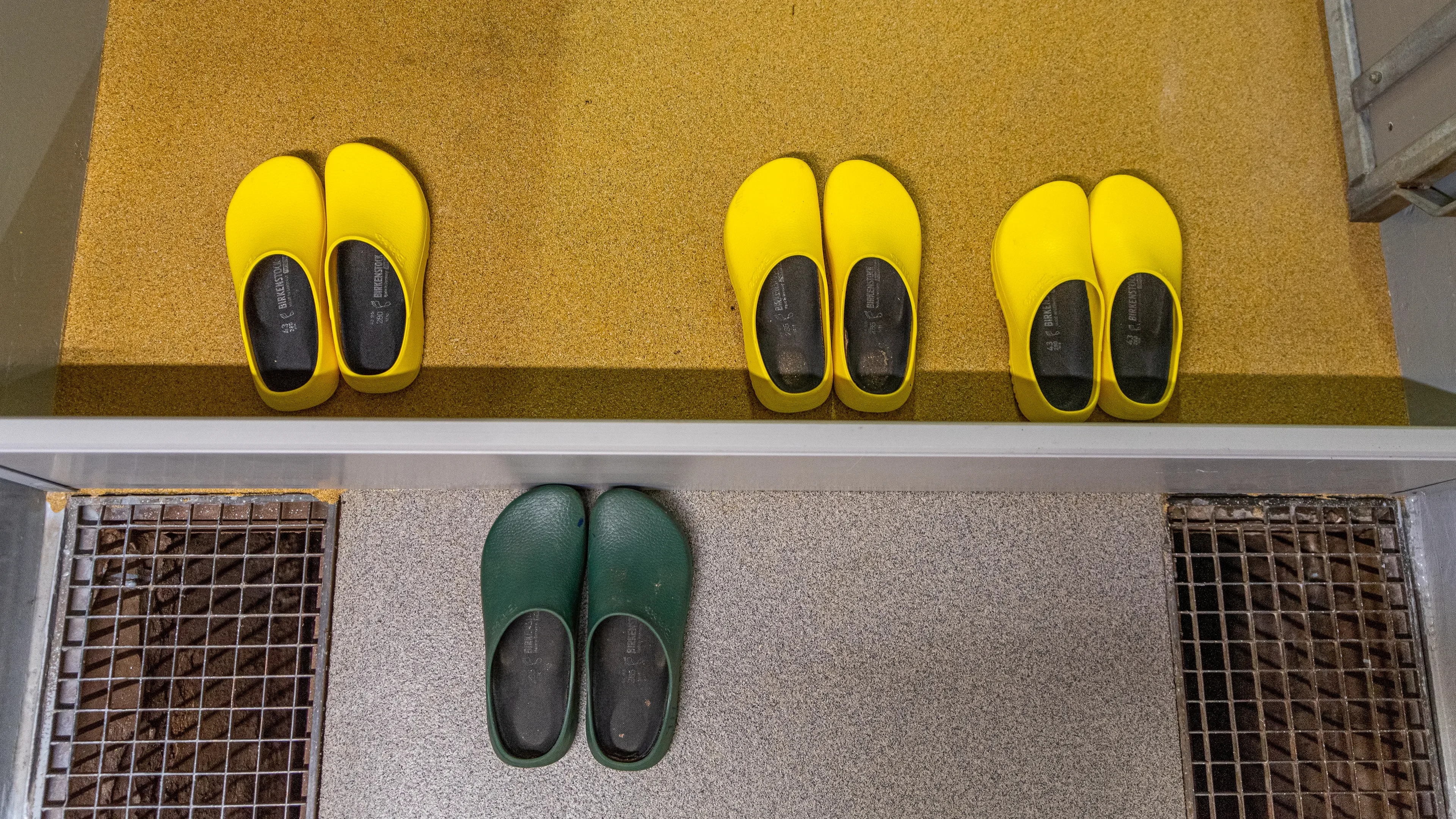 Yellow and green shoes on the floor