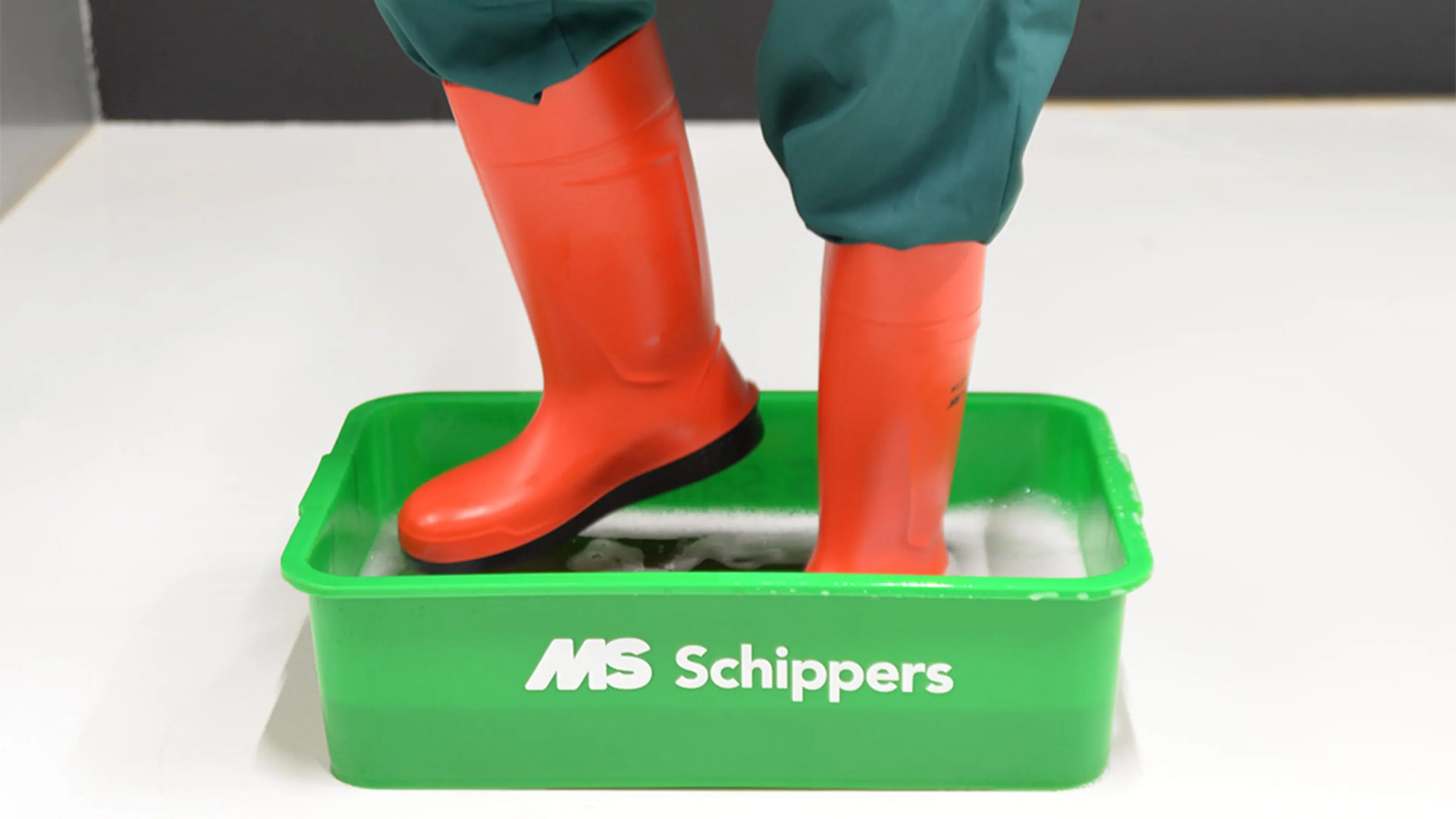 Disinfection of boots