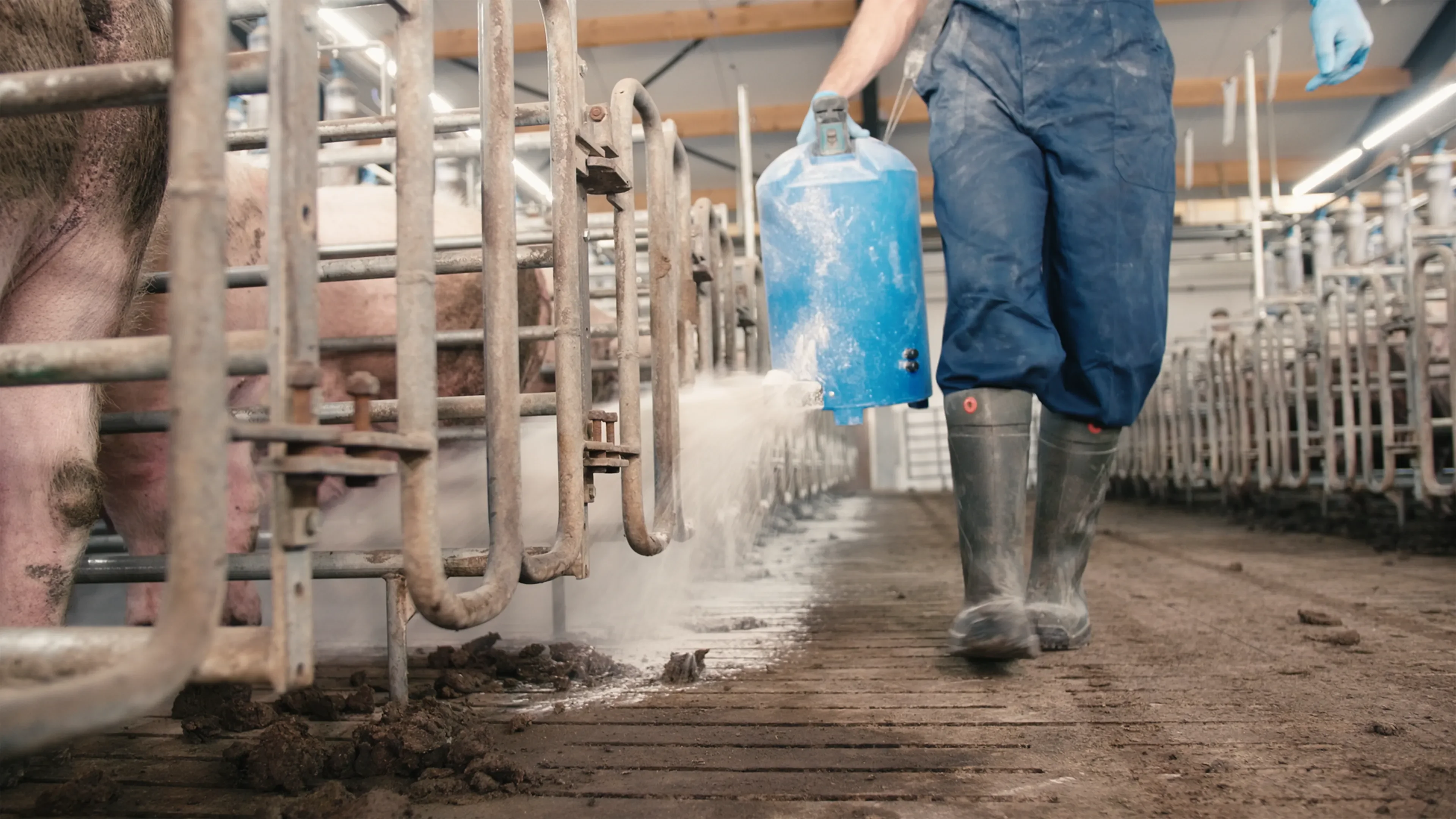 Man walking and throwing DryCare on the ground wearing protection