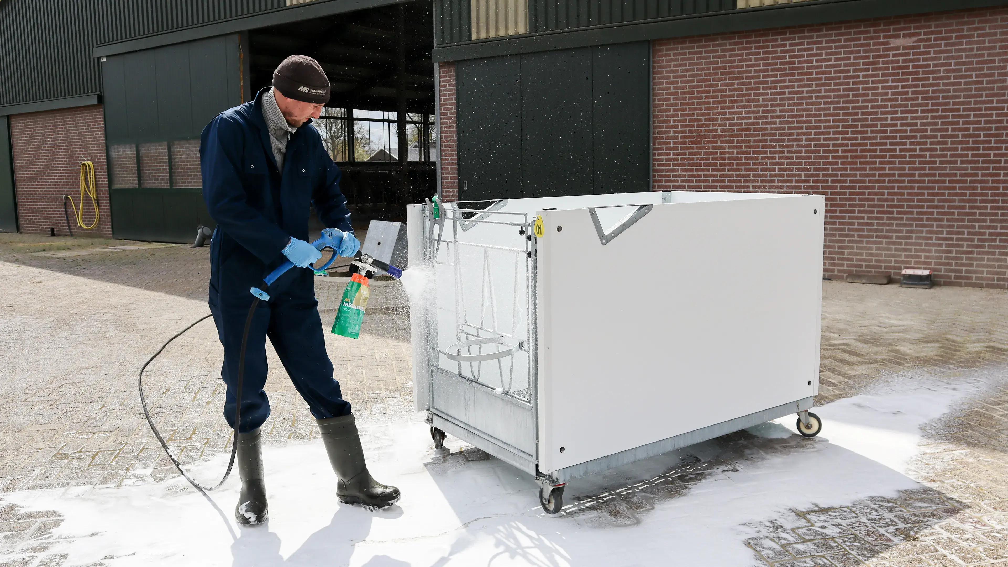 The 5 steps to prevent coccidiosis in calves