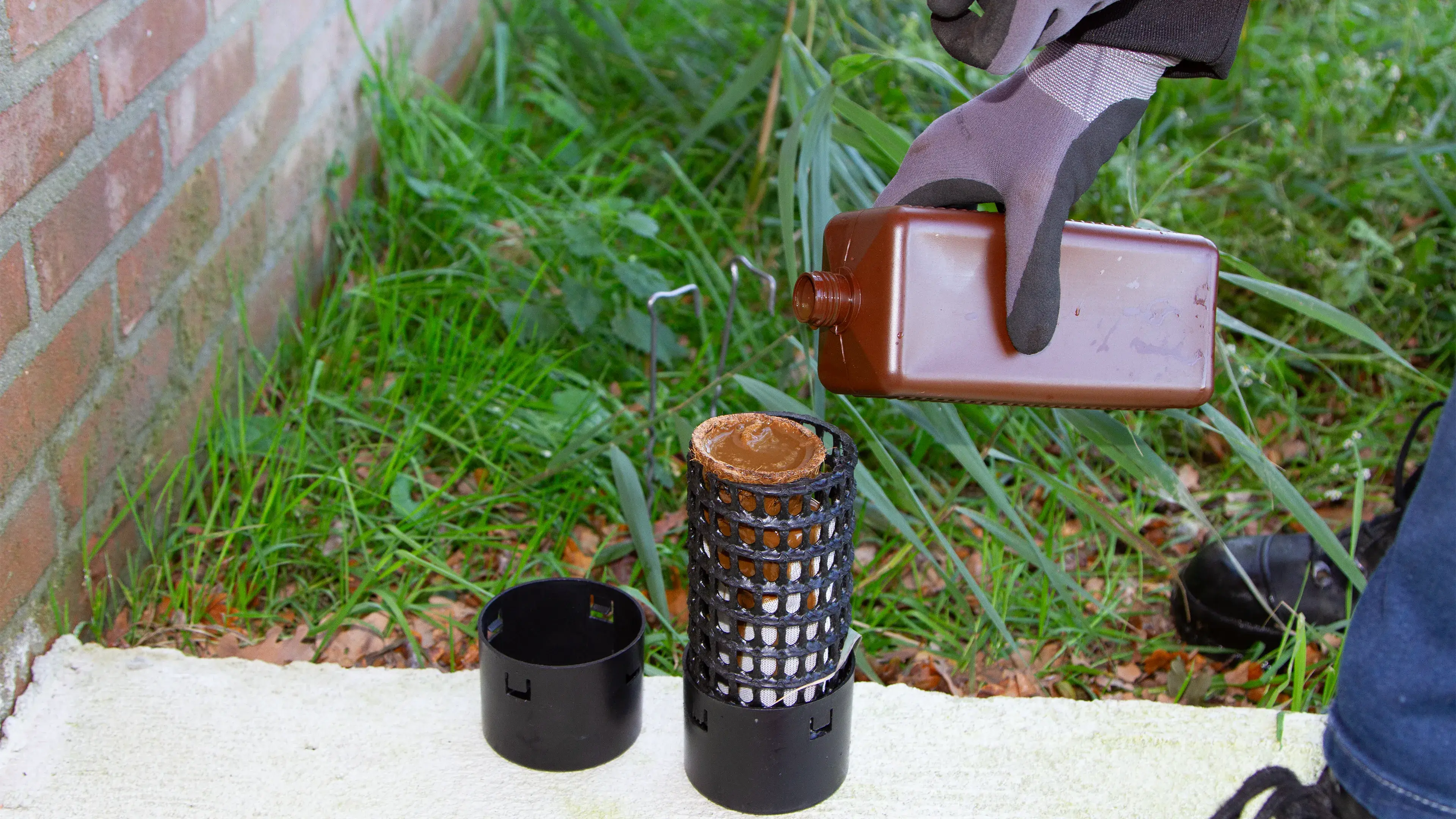 Controle moscas, ratas y ratones en su explotación ganadera