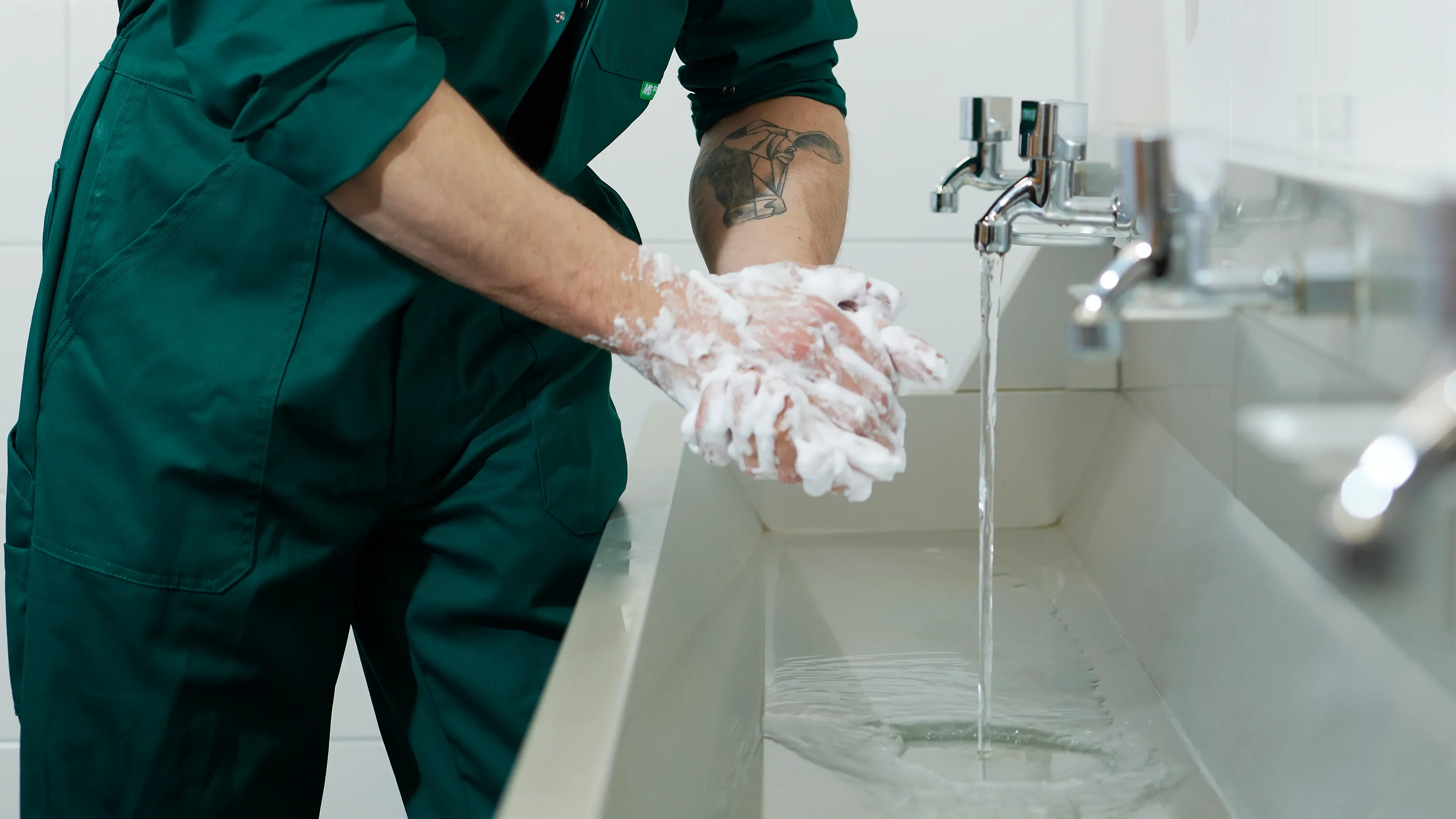 Hands Cleaning in the stable - Personal Hygiene