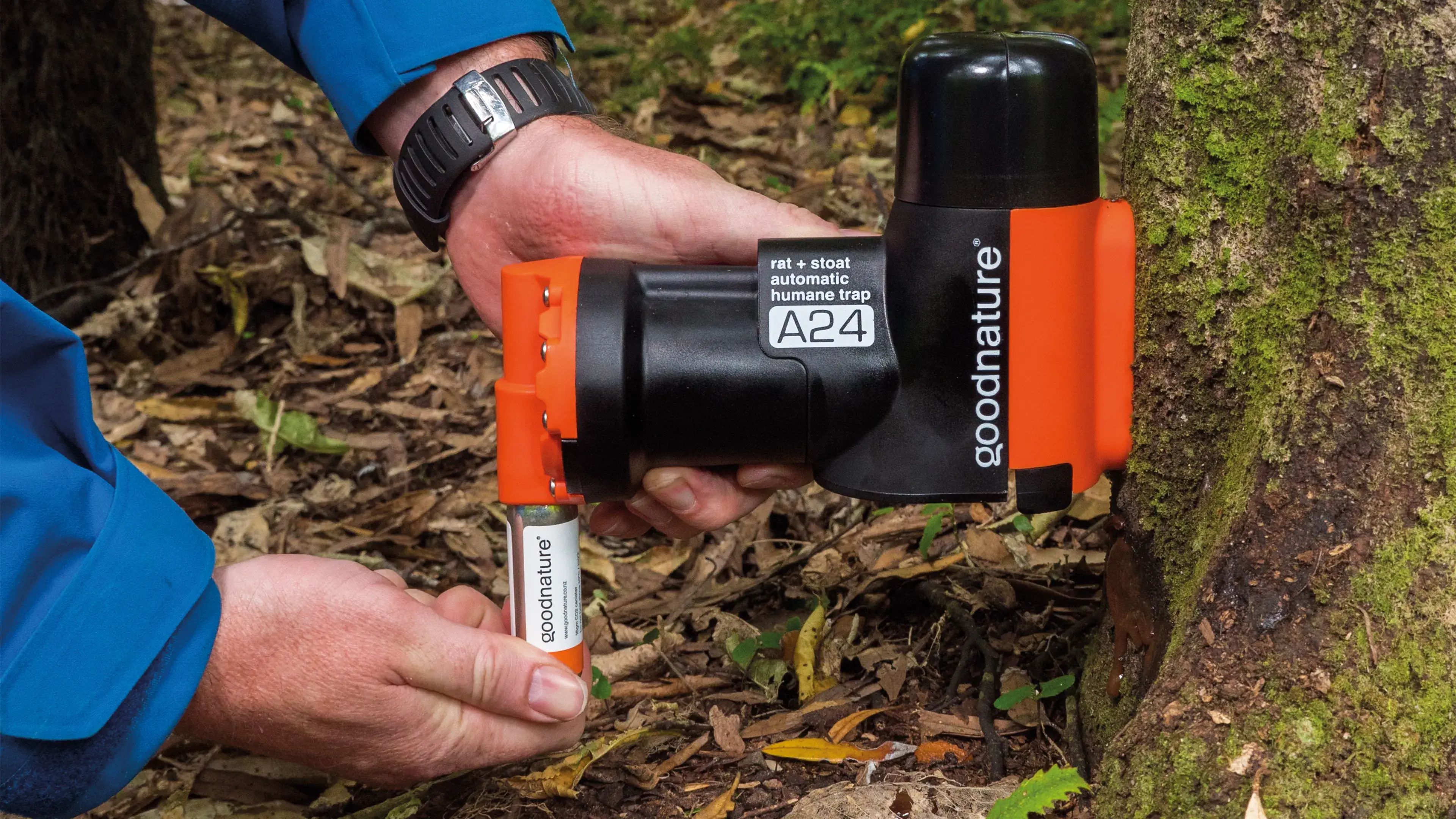 Rats trap goodnature organic