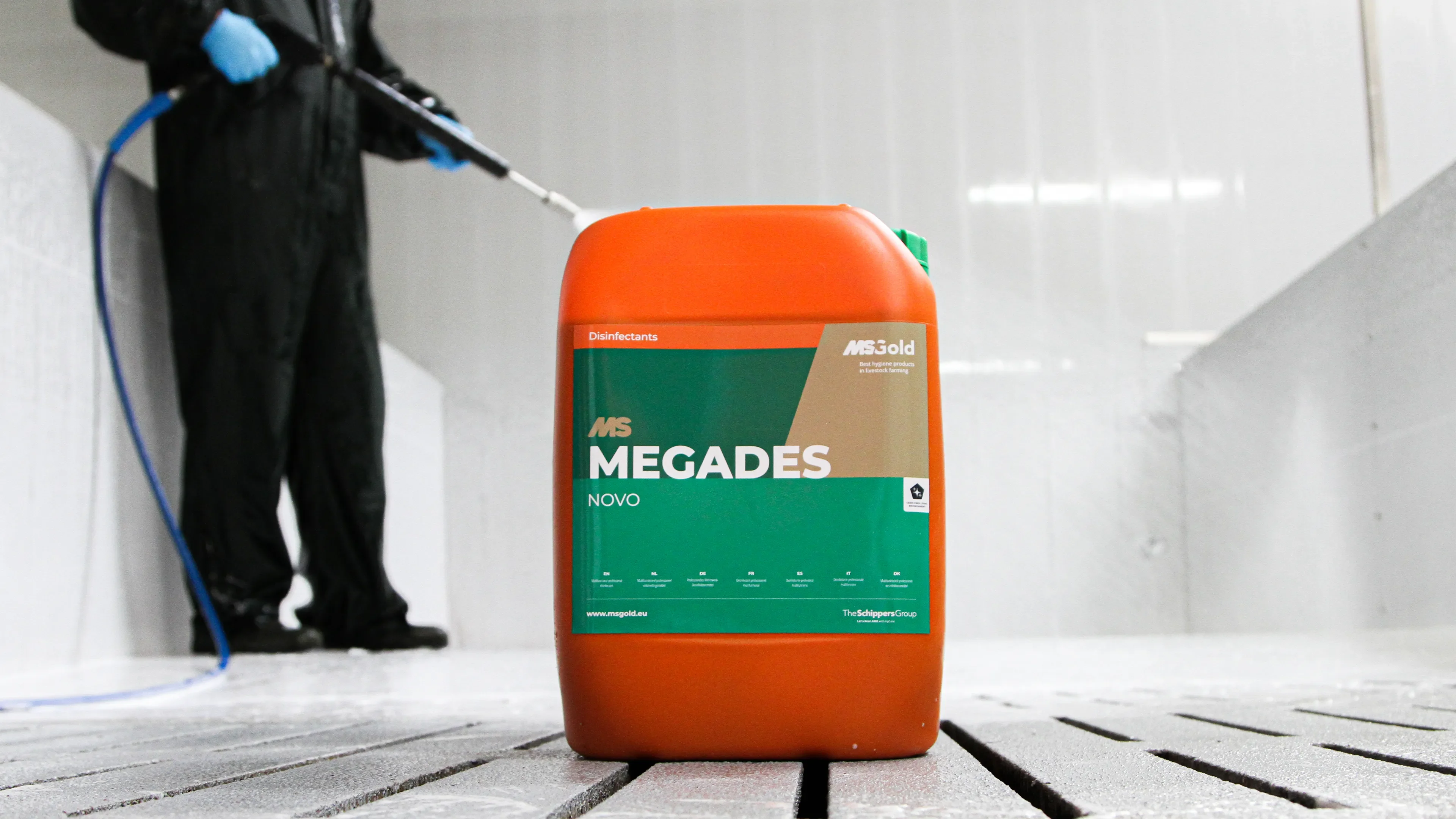 MS MegaDes
