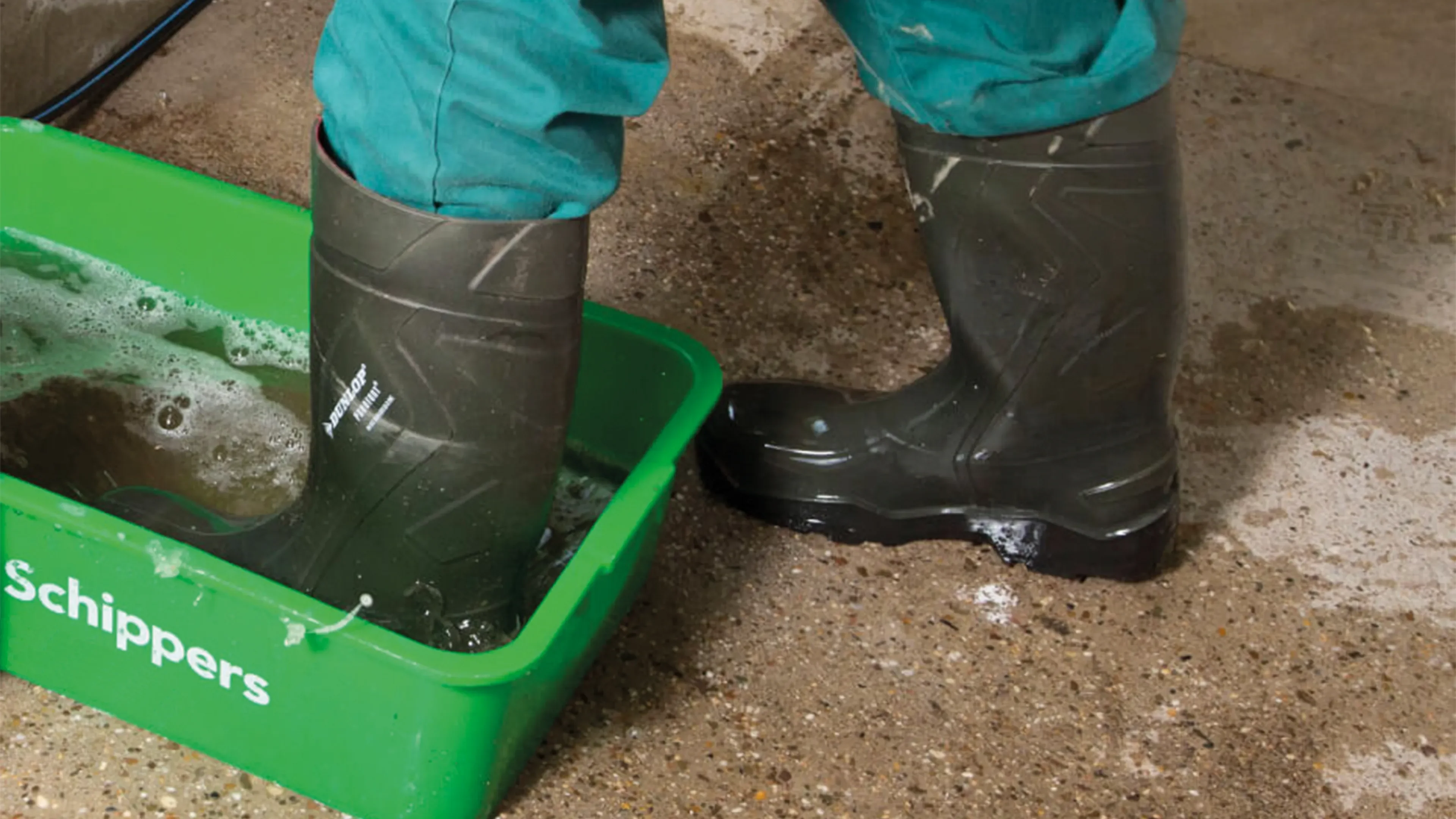 Cleaning & disinfecting 