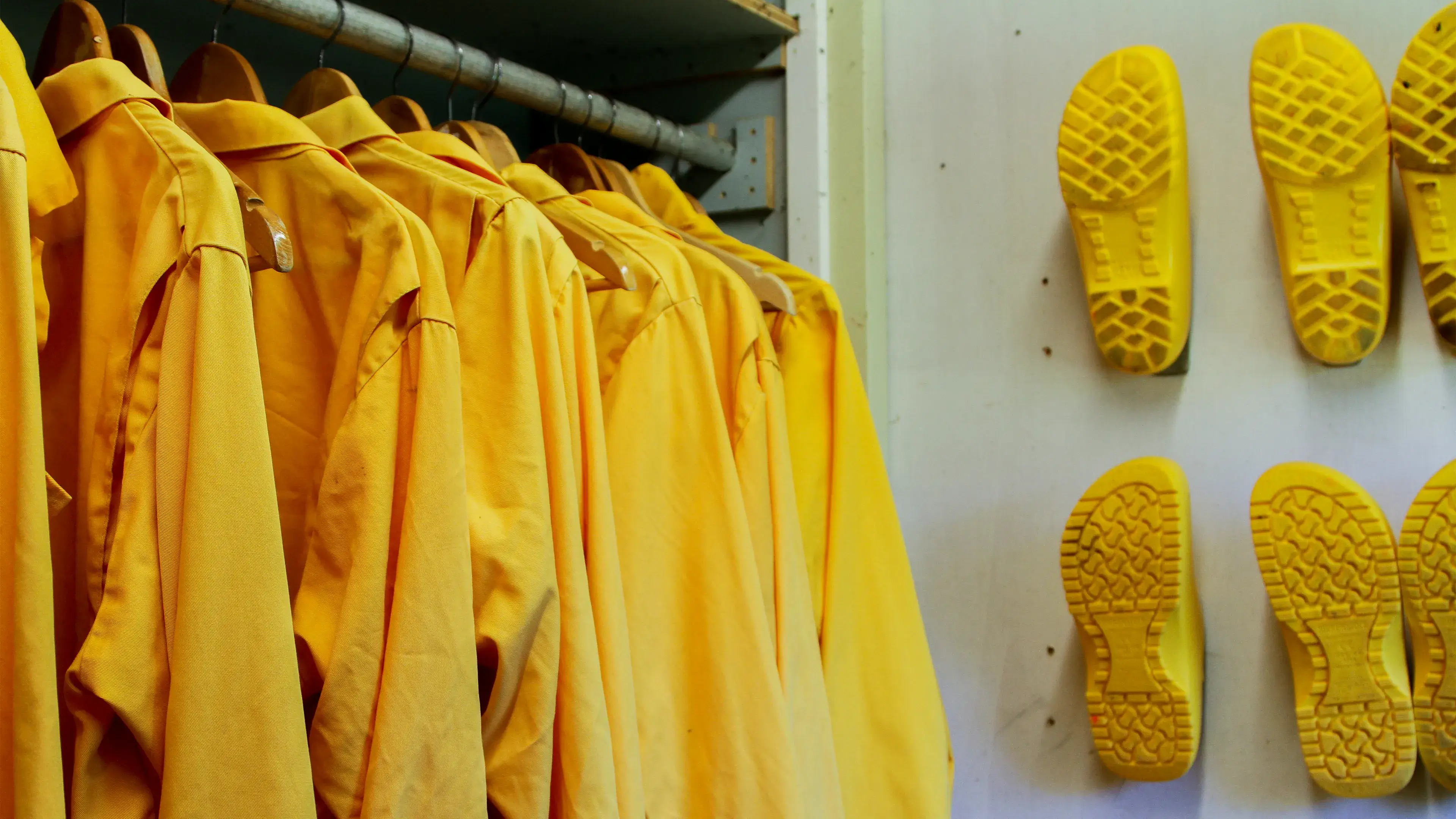 Sistema de colores: evitar la contaminación cruzada