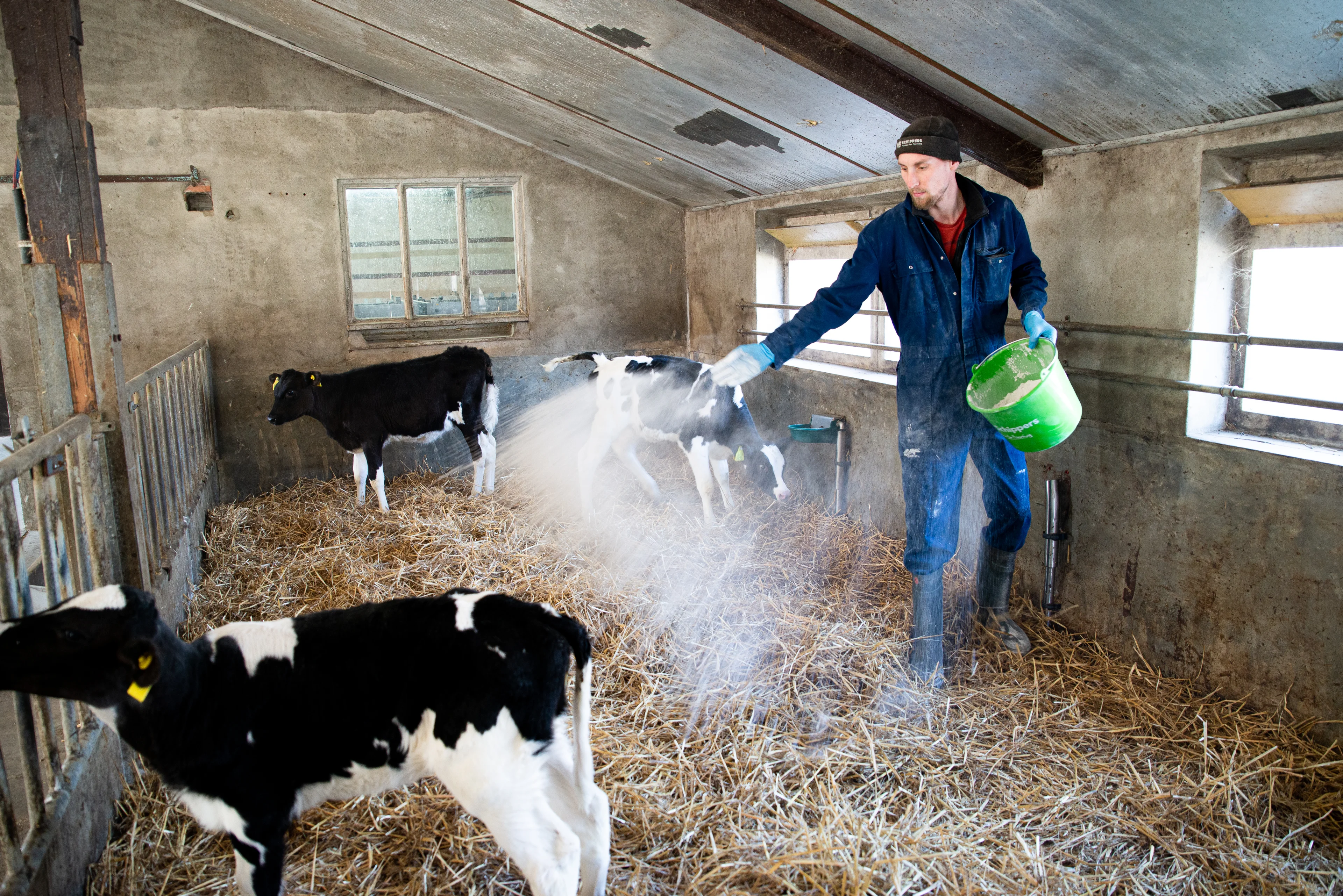 Create a dry living environment