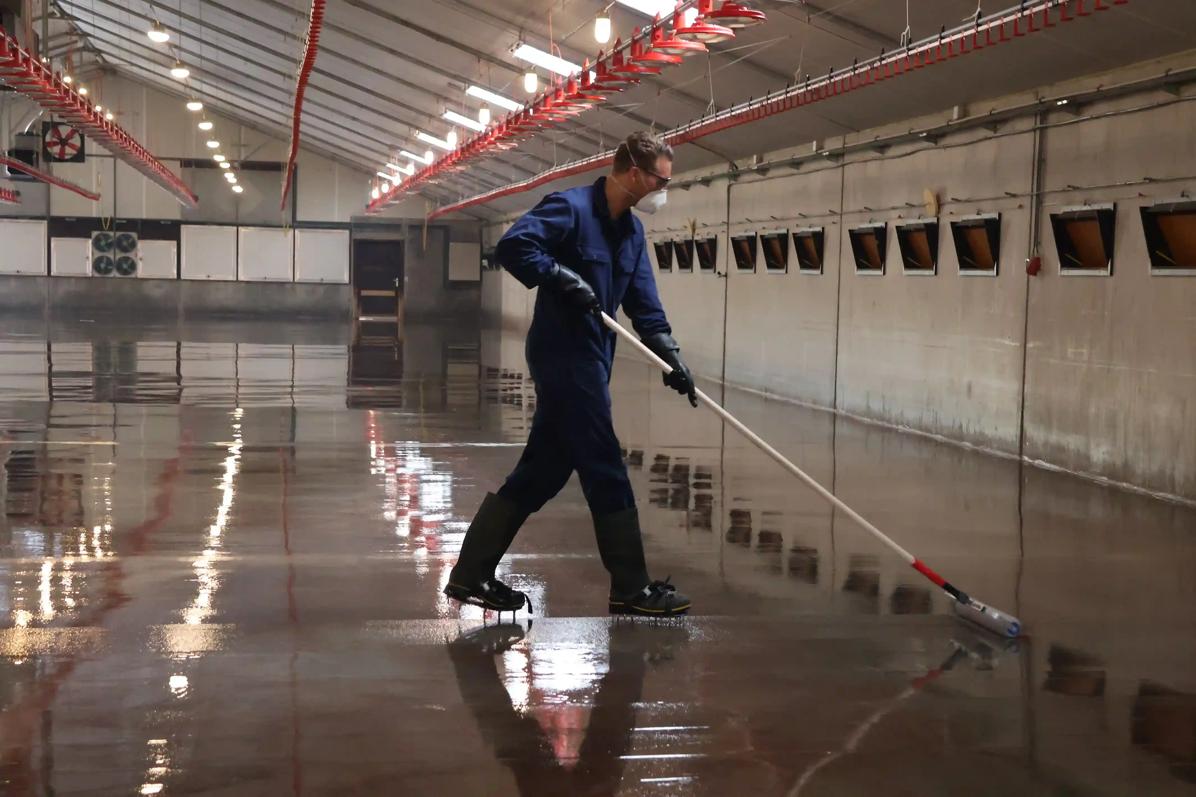 frank-apply-coating-roller-poultry