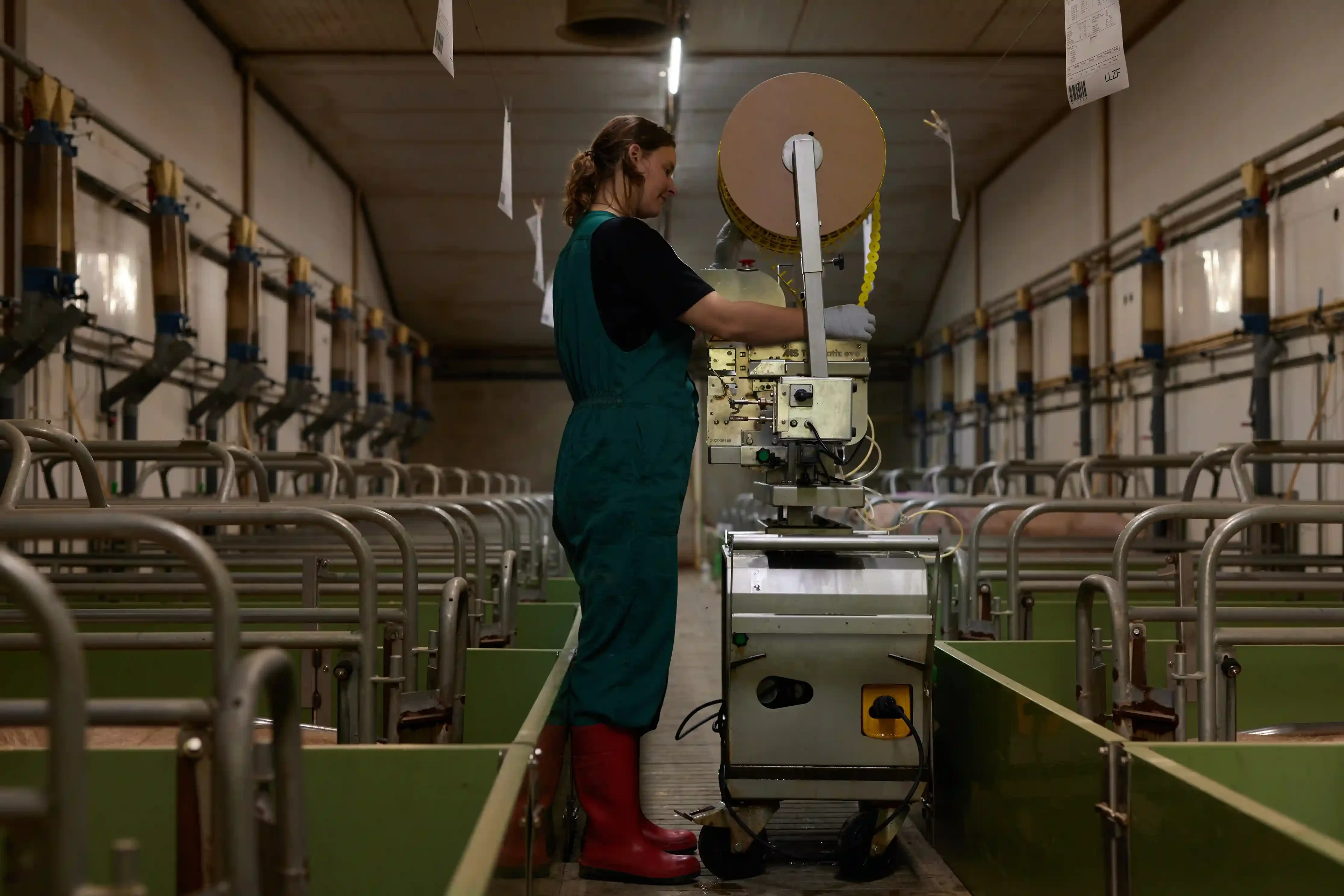 biza-mieke-expert-pigs-instruction