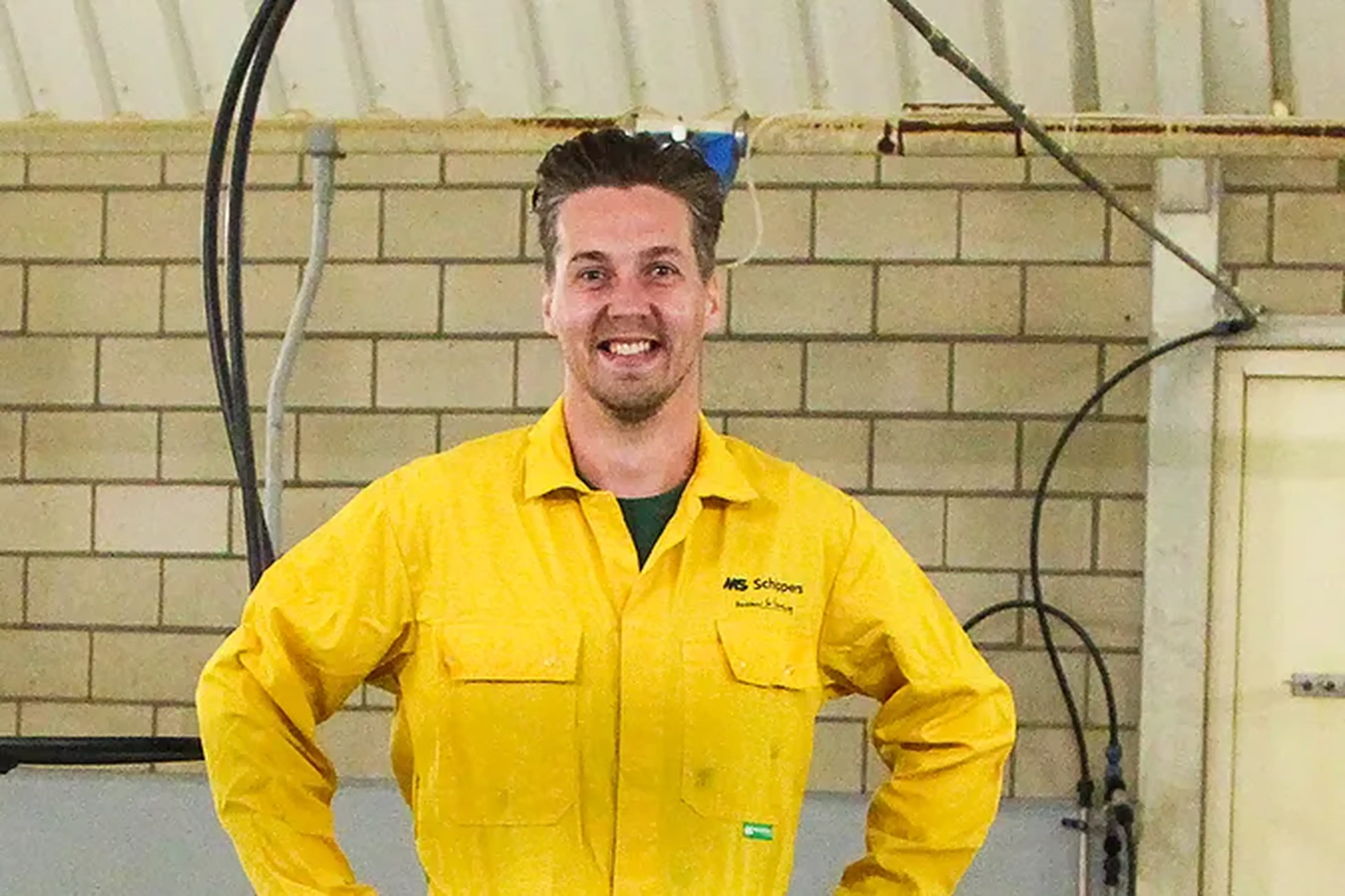 Aron-van-Balkom-expert-pigs