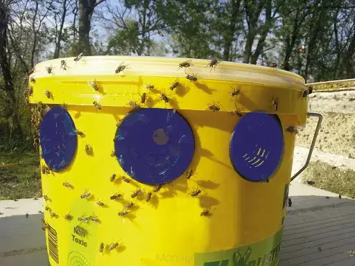 Flybuster results
