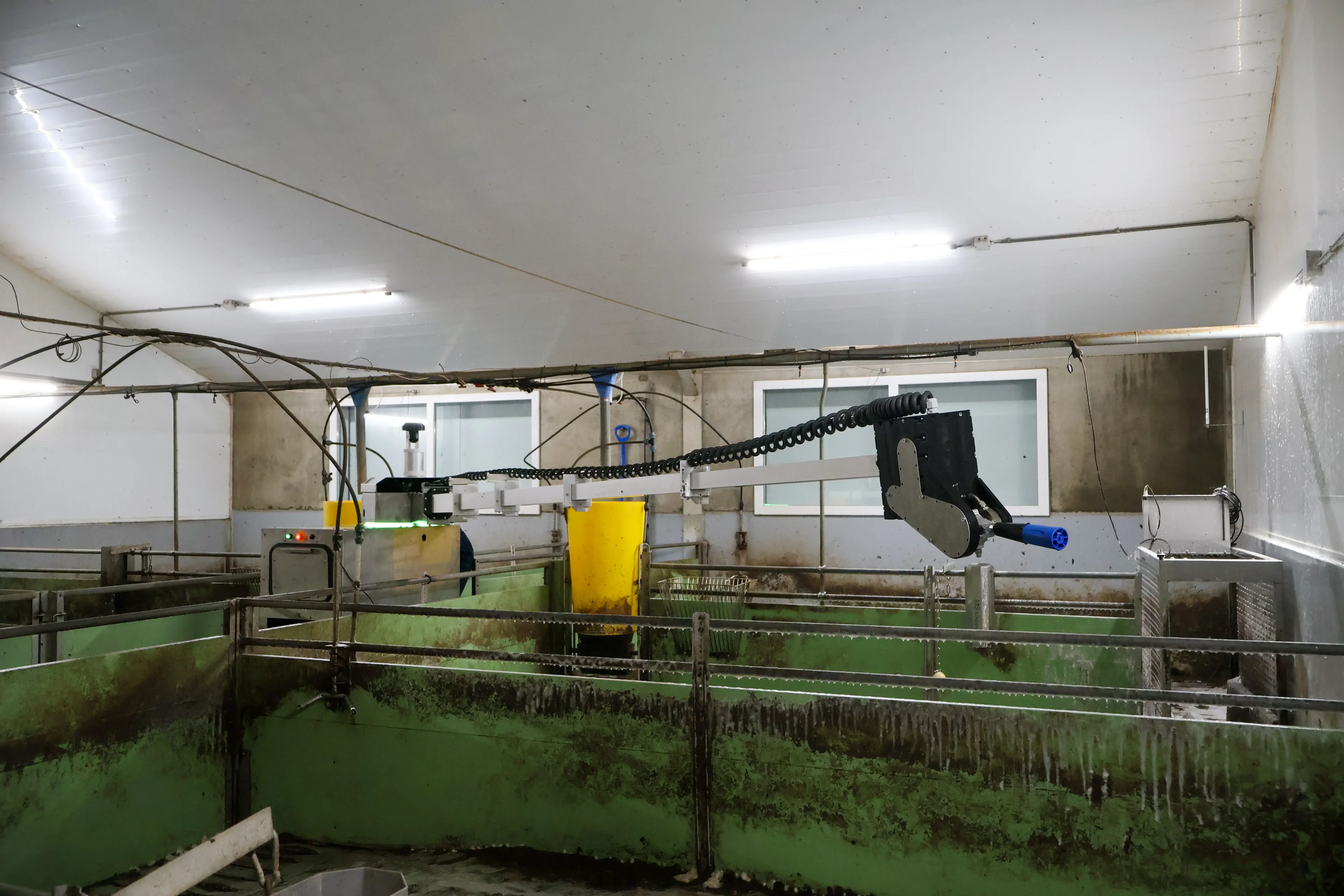 Der weltweit erste sehende, selbstlernende Waschroboter, der Einweichen mit Schaum, Reinigen mit Wasser und Desinfektion vollautomatisch in einem System vereint. 