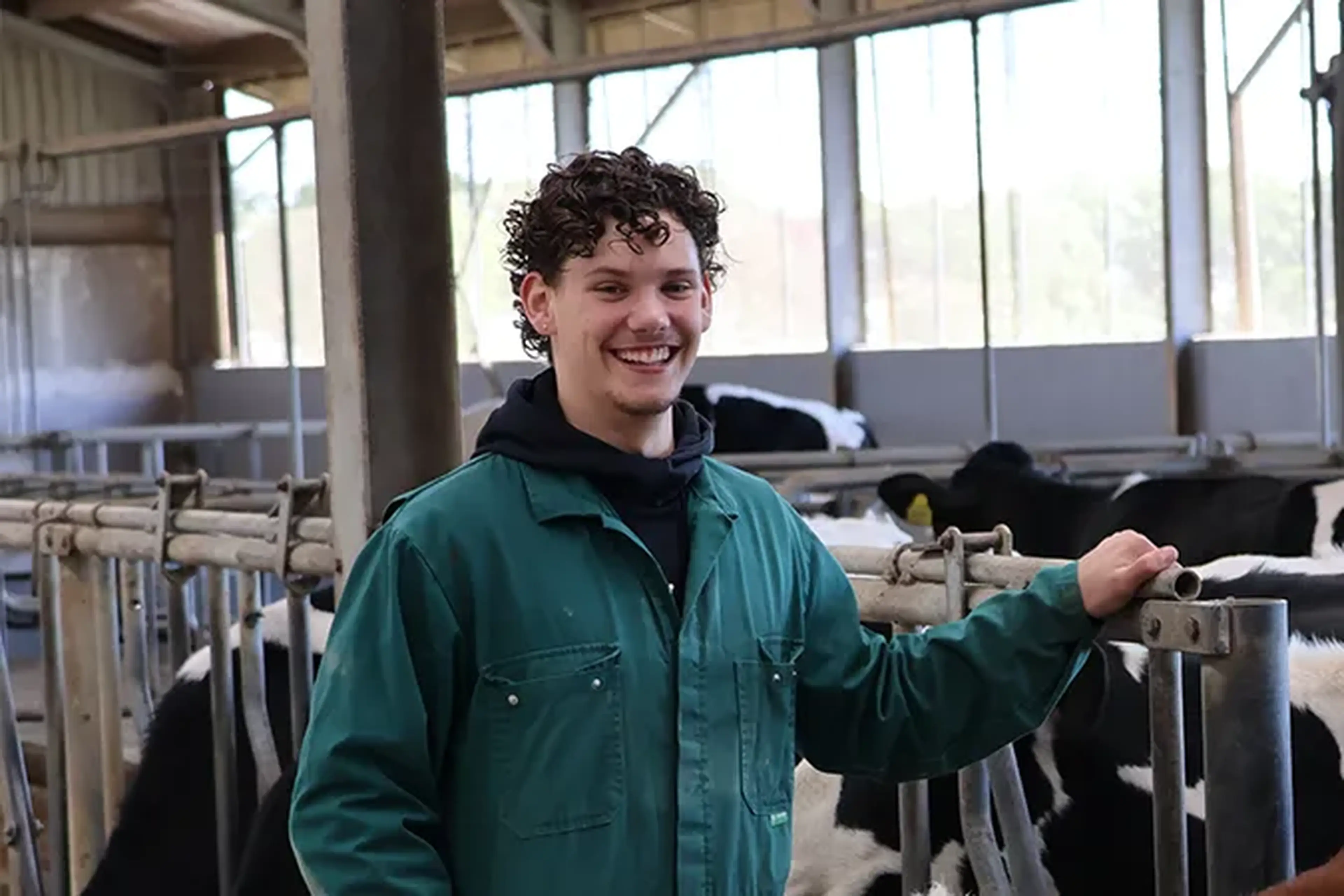 loek-cattle-expert-nl