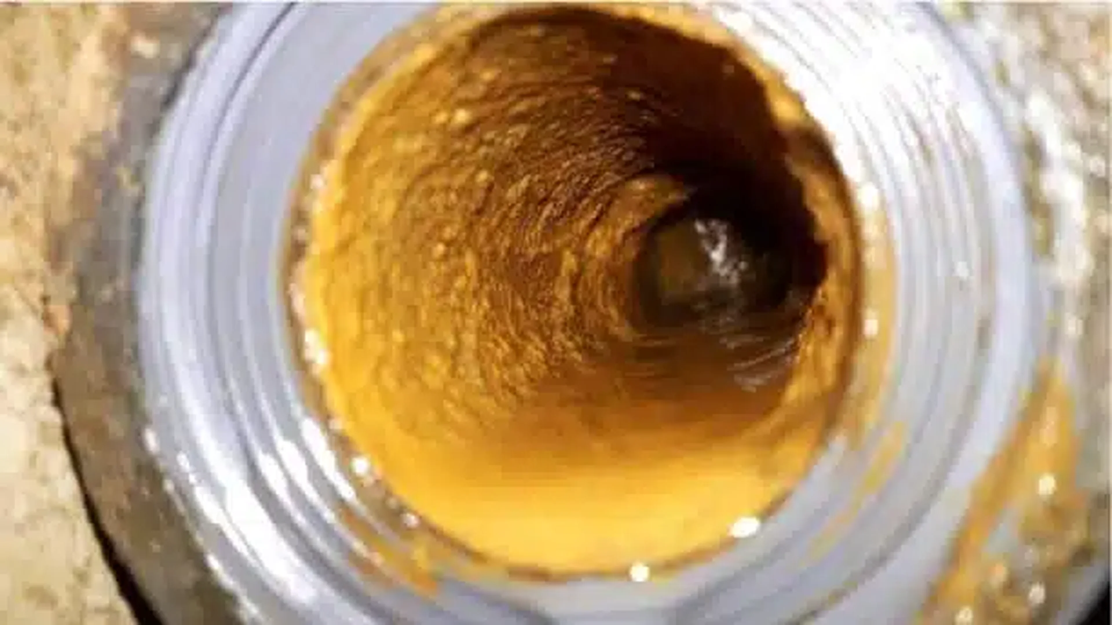 Waterskid biofilm
