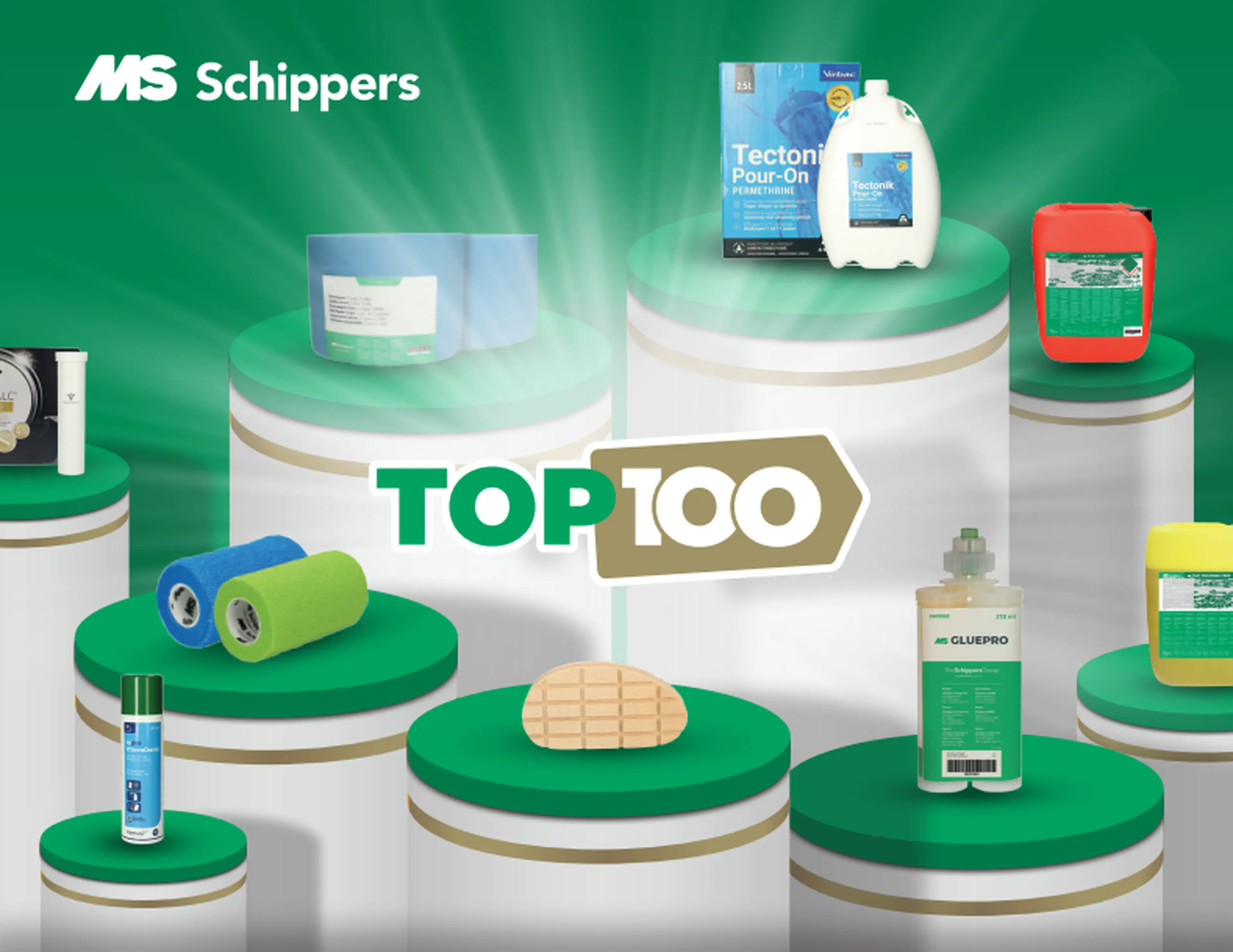 Top100 MS Schippers