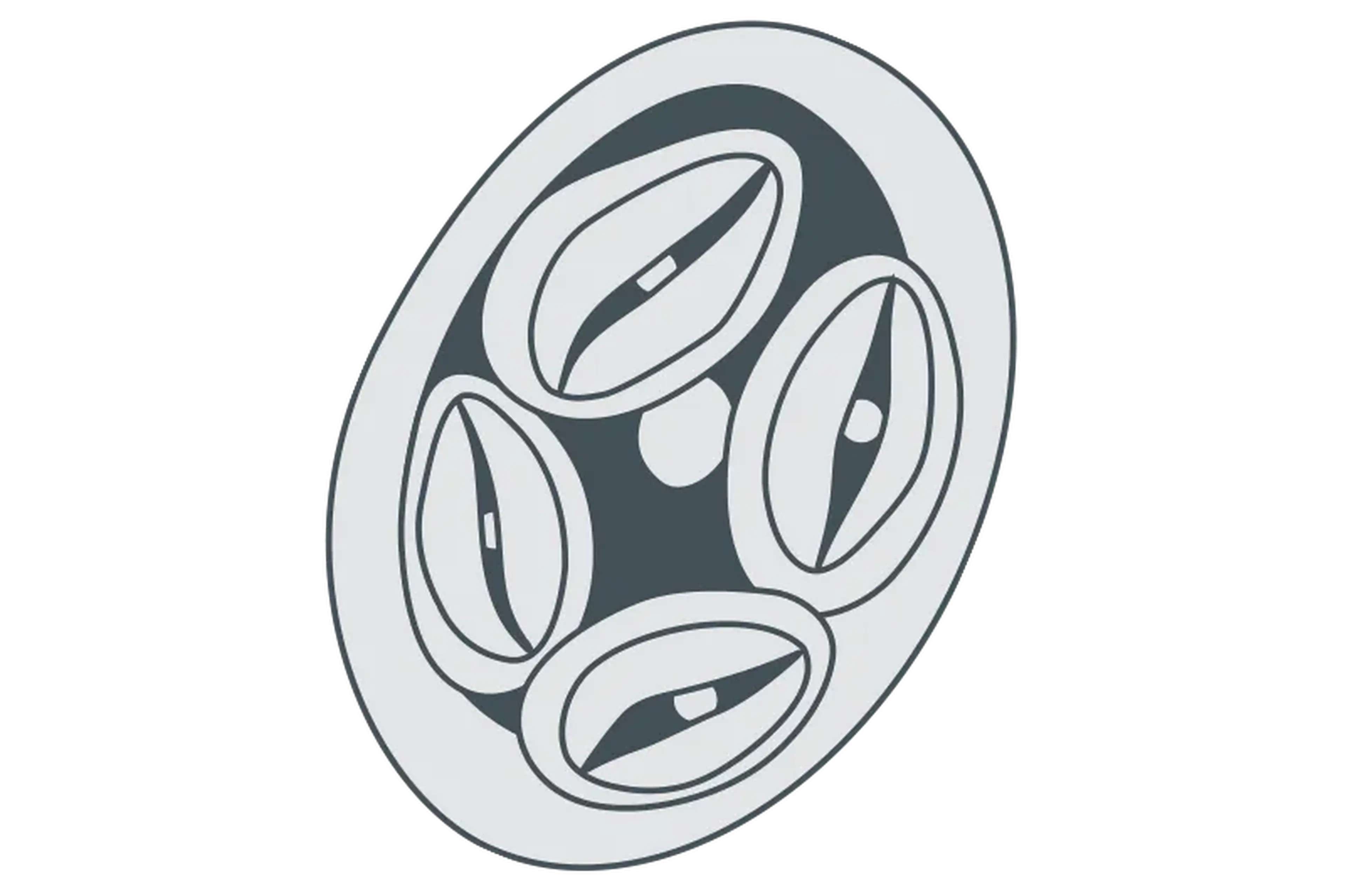 Tips to protect your farm from Blackhead Disease, image size:3840x2558