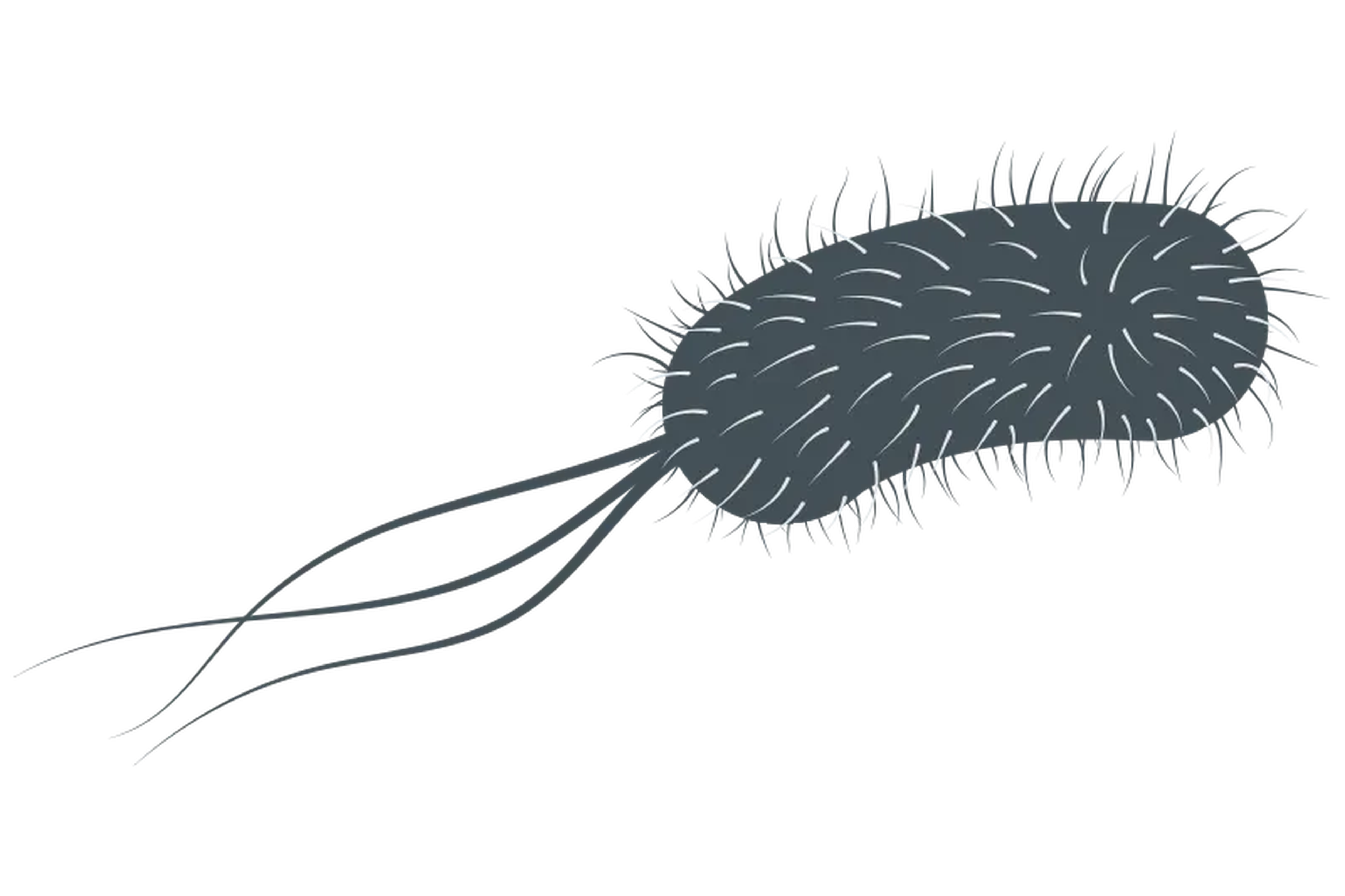 The Truth About E. Coli: Is It Really Unicellular? - 0il9zpg