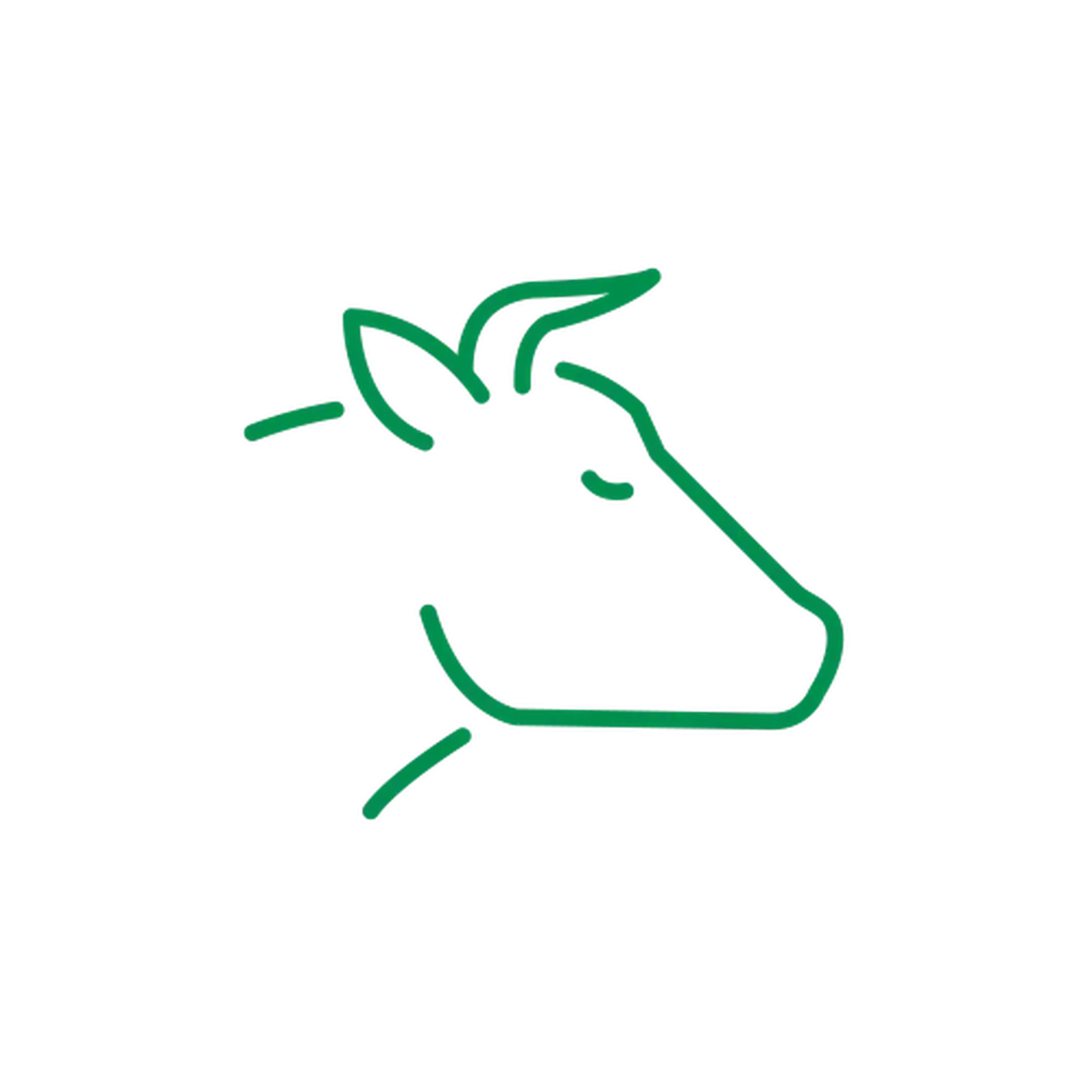 Cattle