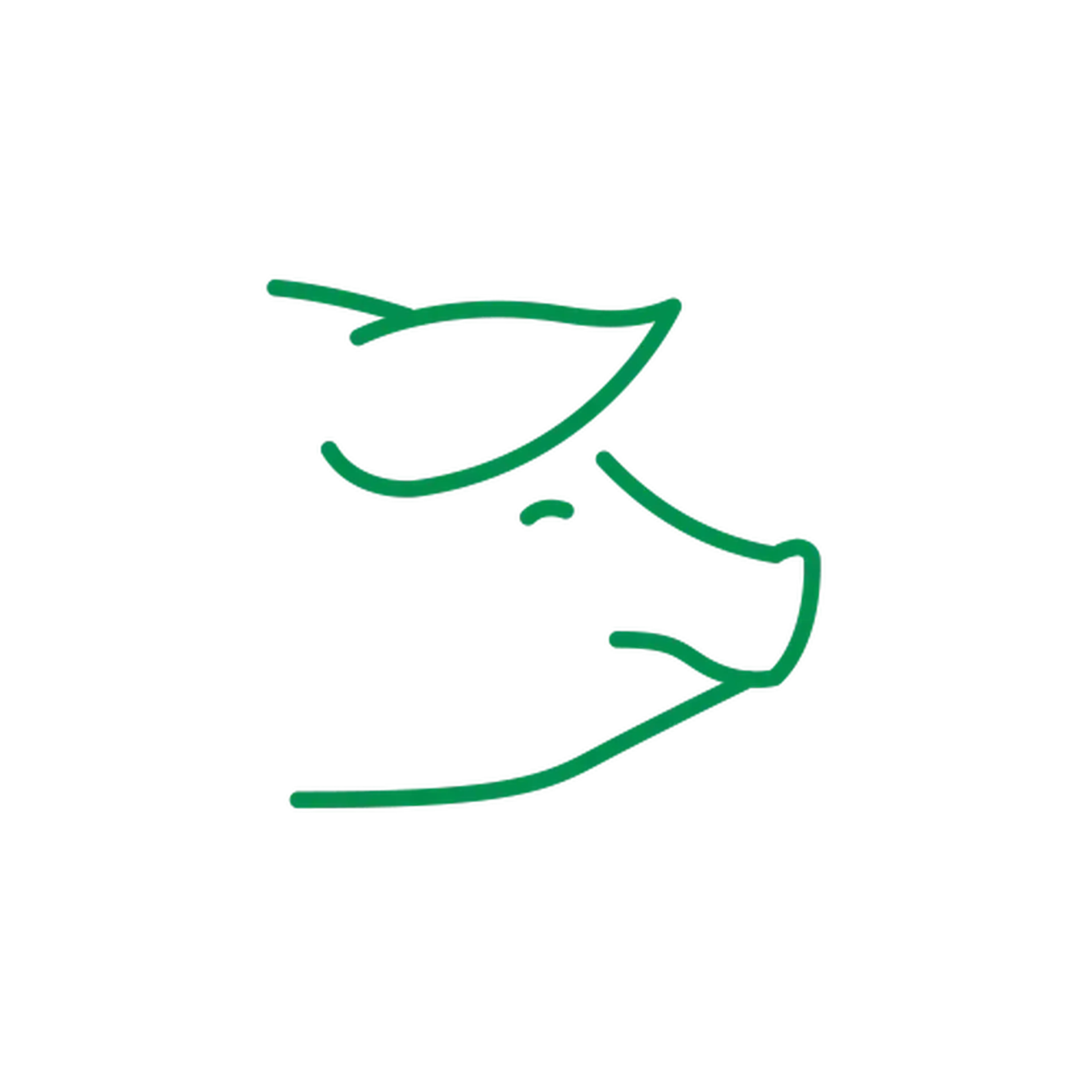 Varken