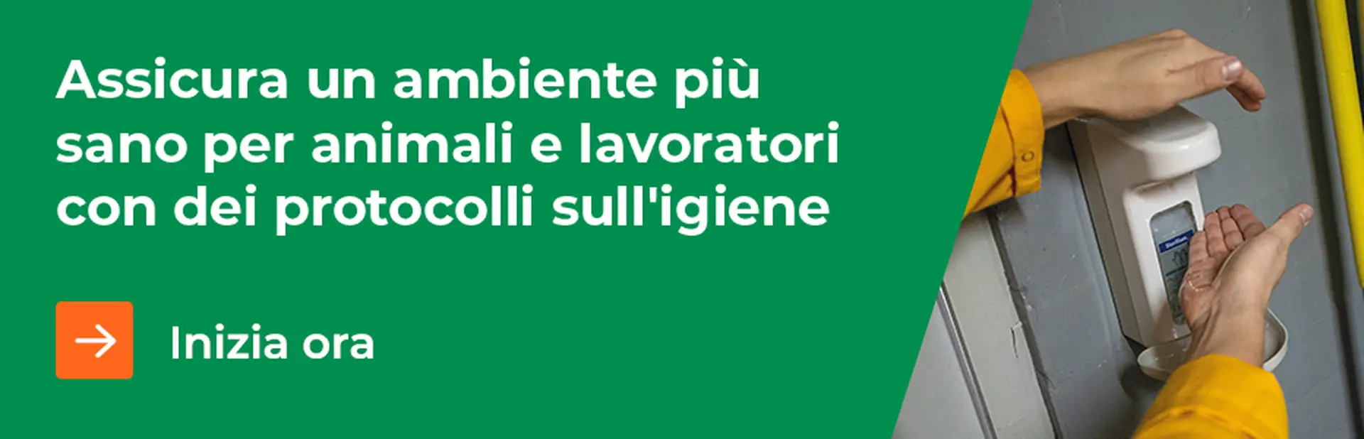 Well2wellness – Tubo In PVC Per Pressione Da 1 Metro – Diametro 50mm – 10 Bar Con Fascette Da Parete Incluse