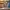 company-undefined-content.content[2].image.png